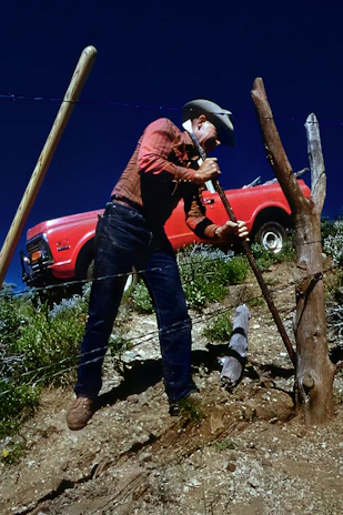 A handyman carefully repairing a wooden fence under bright daylight.