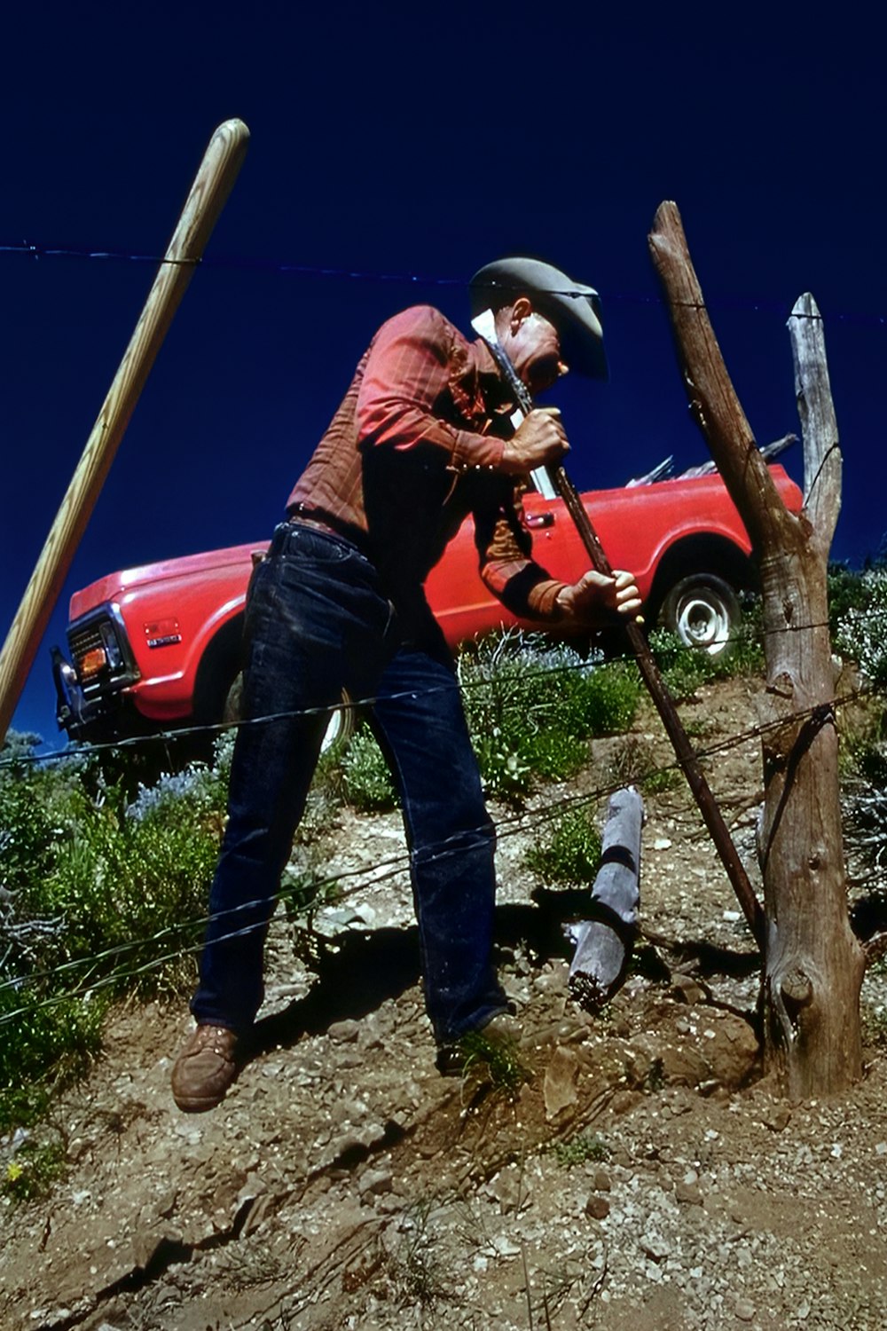 a man in a cowboy hat is working on a tree