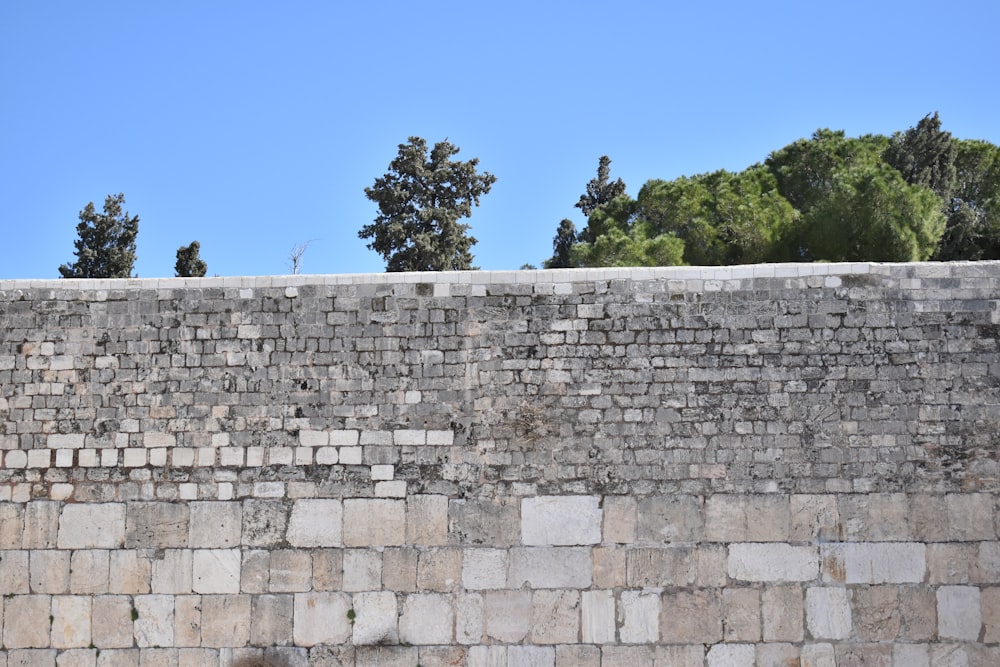 a large brick wall with trees in the background