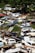 A densely packed junkyard filled with various old and rusted cars. Some vehicles have missing parts like doors and hoods. The cars are stacked haphazardly, surrounded by overgrown grass and trees.