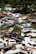 A densely packed junkyard filled with various old and rusted cars. Some vehicles have missing parts like doors and hoods. The cars are stacked haphazardly, surrounded by overgrown grass and trees.