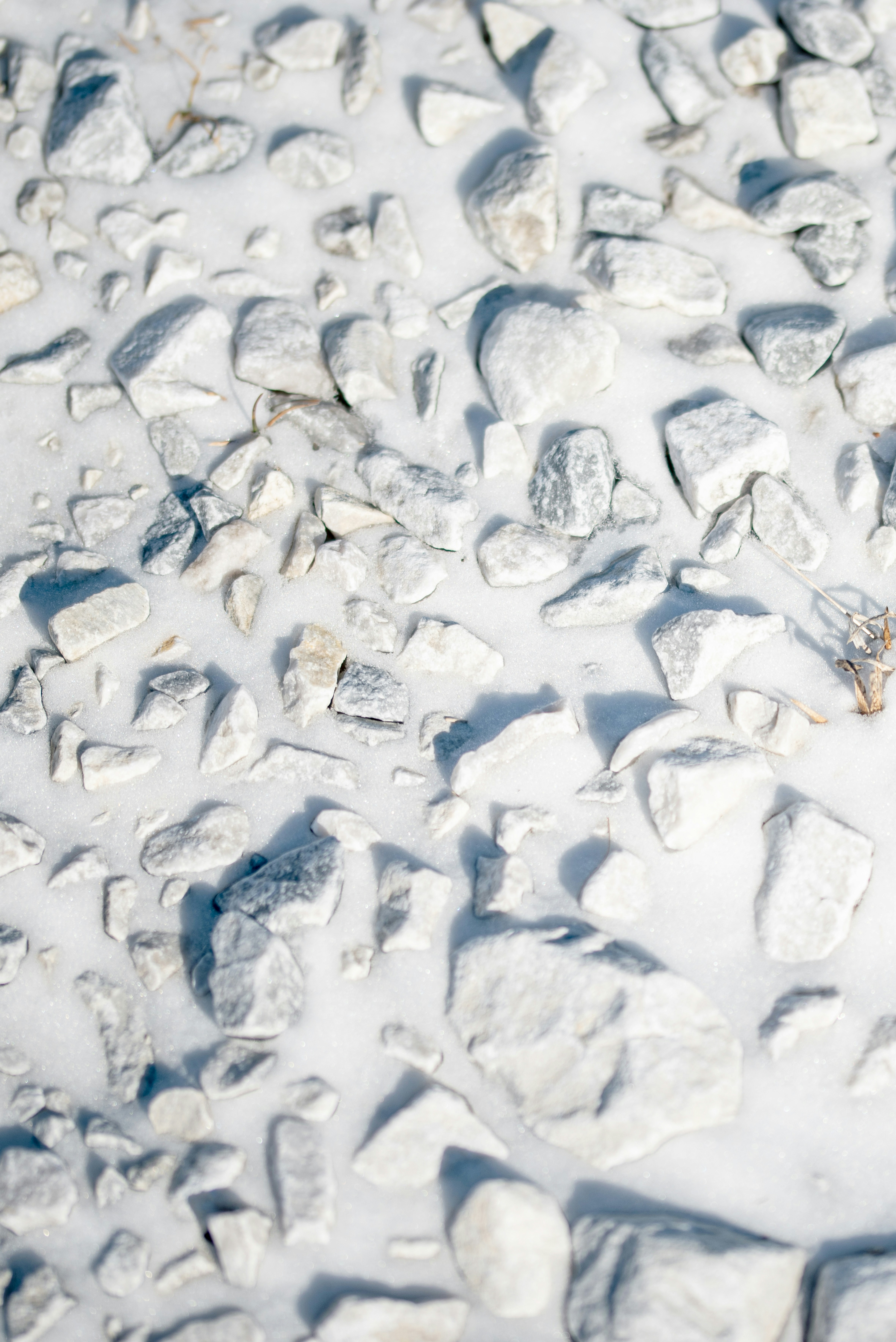 a close up of a snow covered ground with rocks