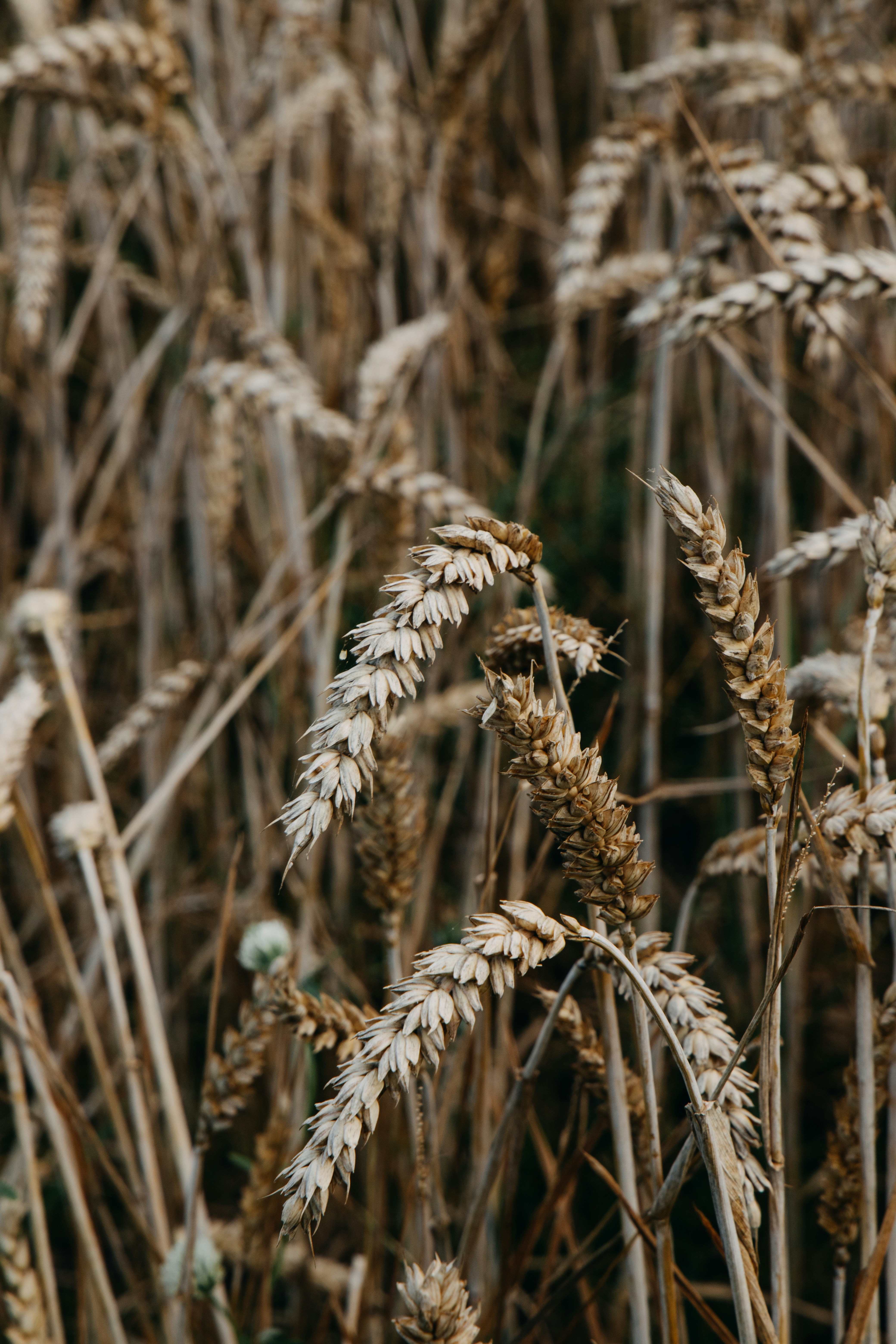 Photo by katharina_bill