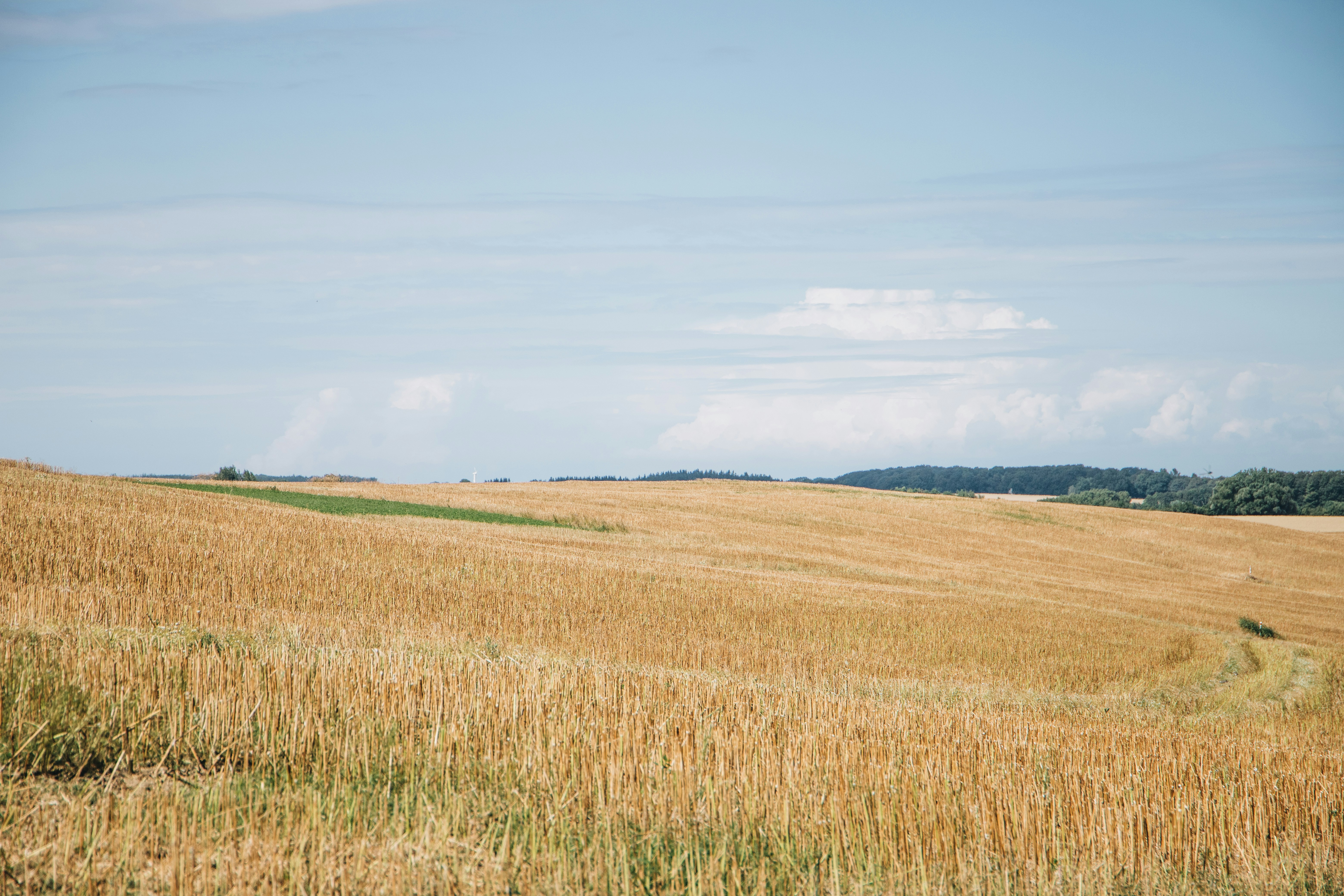 Photo by katharina_bill