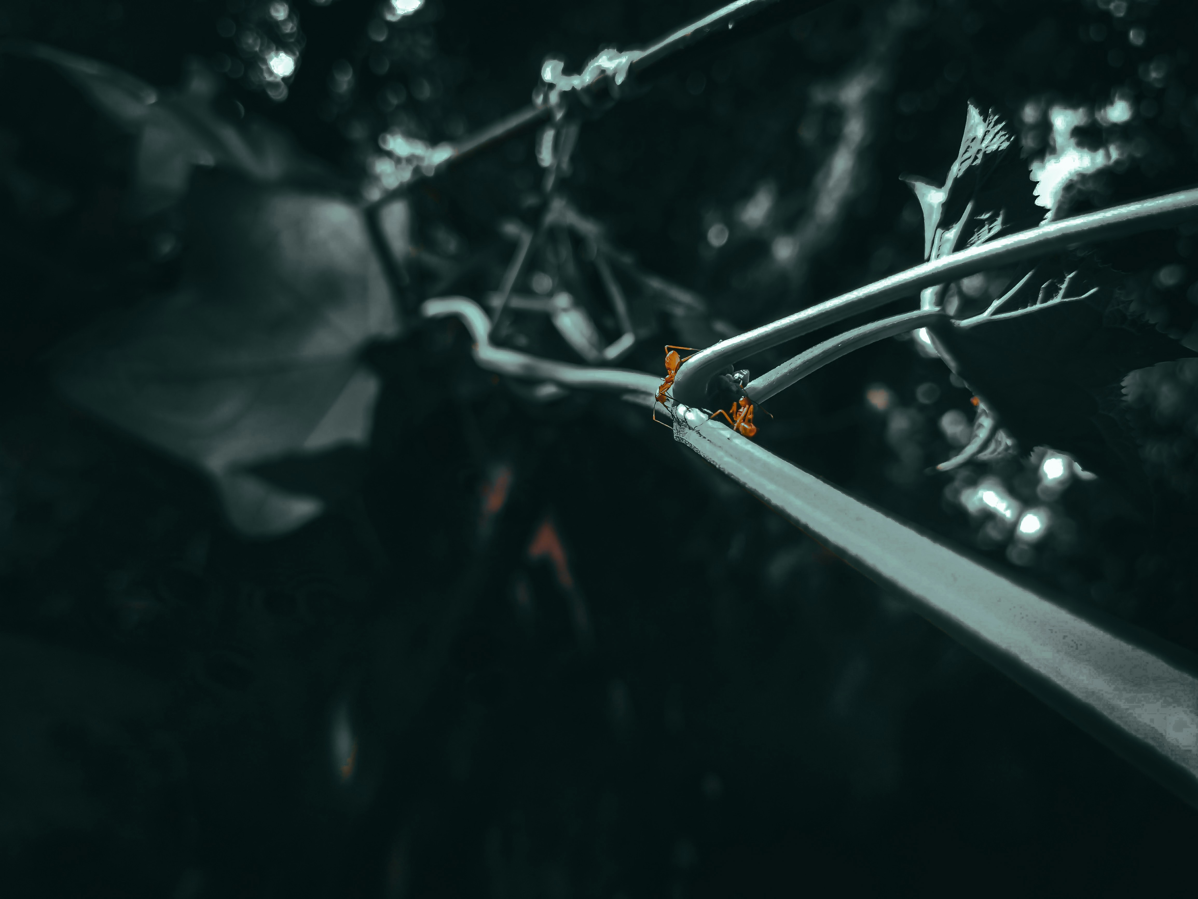 Photo by pandeyhp_04