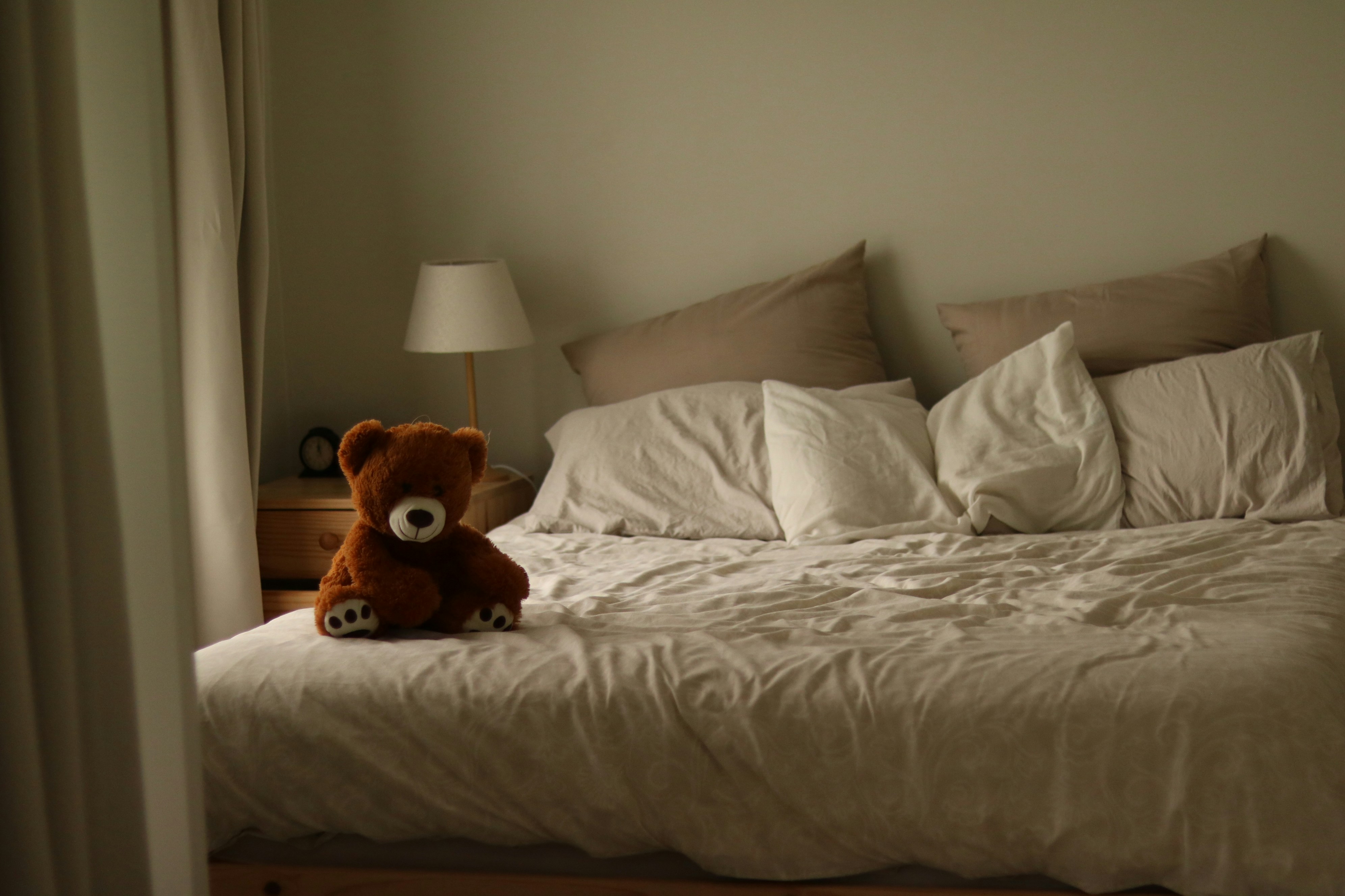 More Than Just Stuffing: The Real Reason Your Kid's Teddy Bear Is Kind of a Big Deal