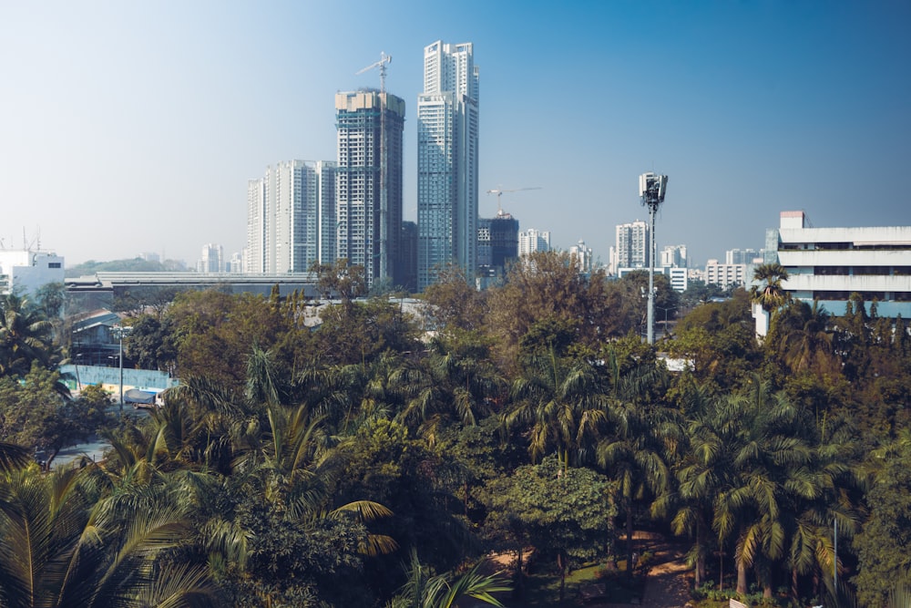 a city skyline with tall buildings and palm trees