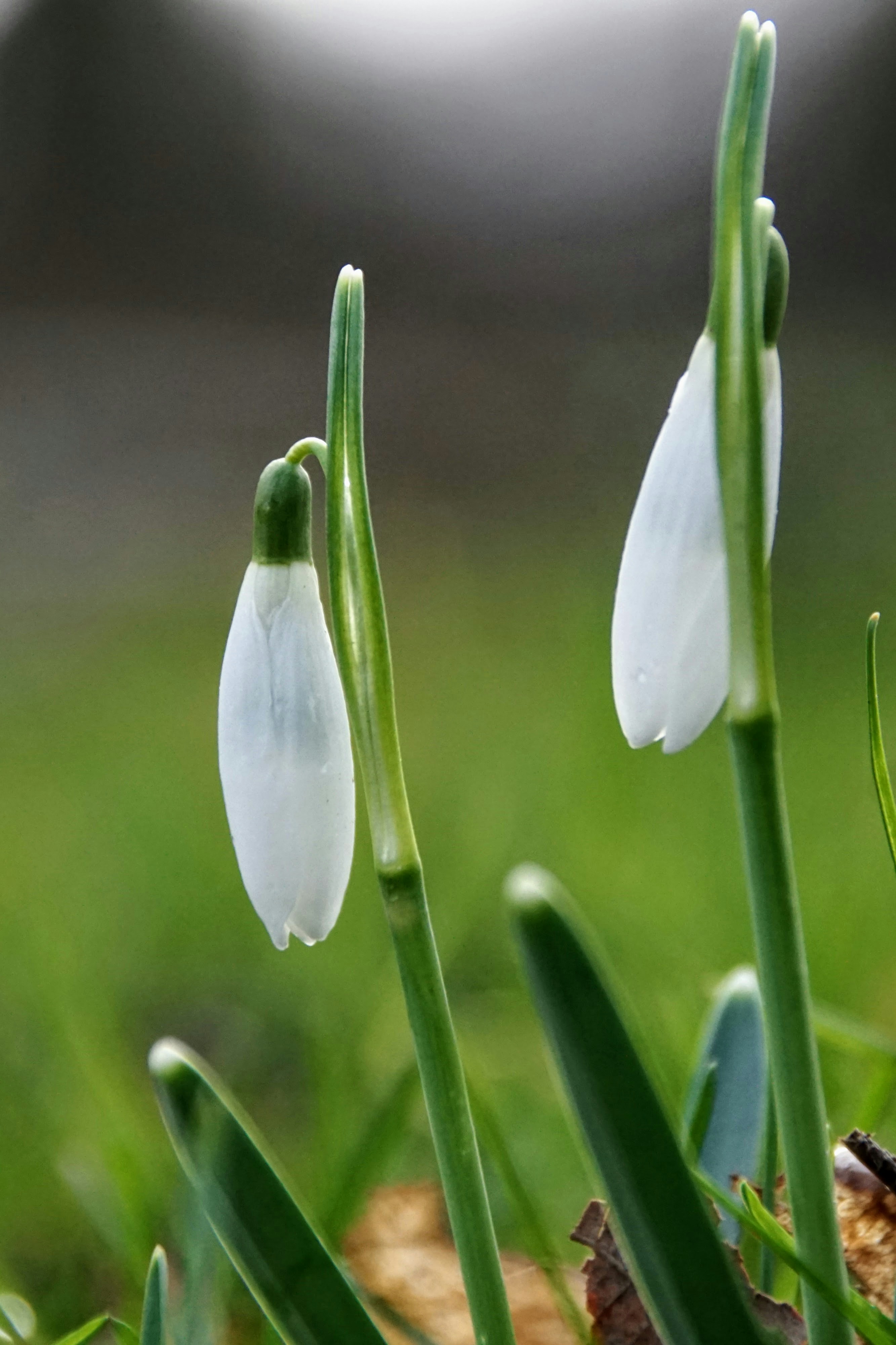 Photo by danielschuh