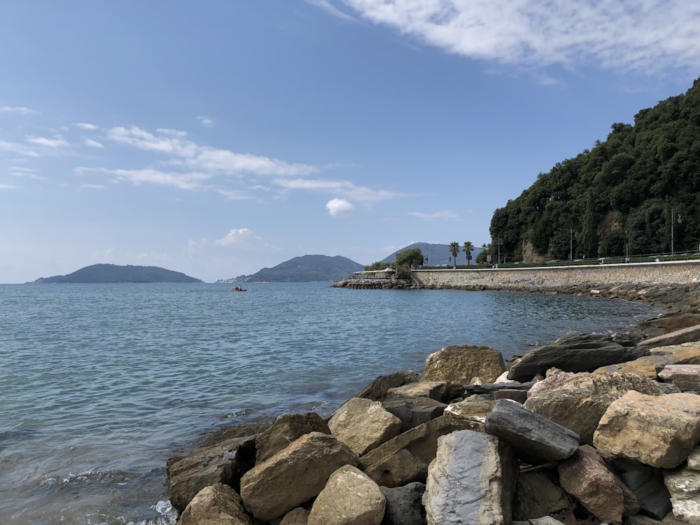 a rocky shore with a boat in the distance