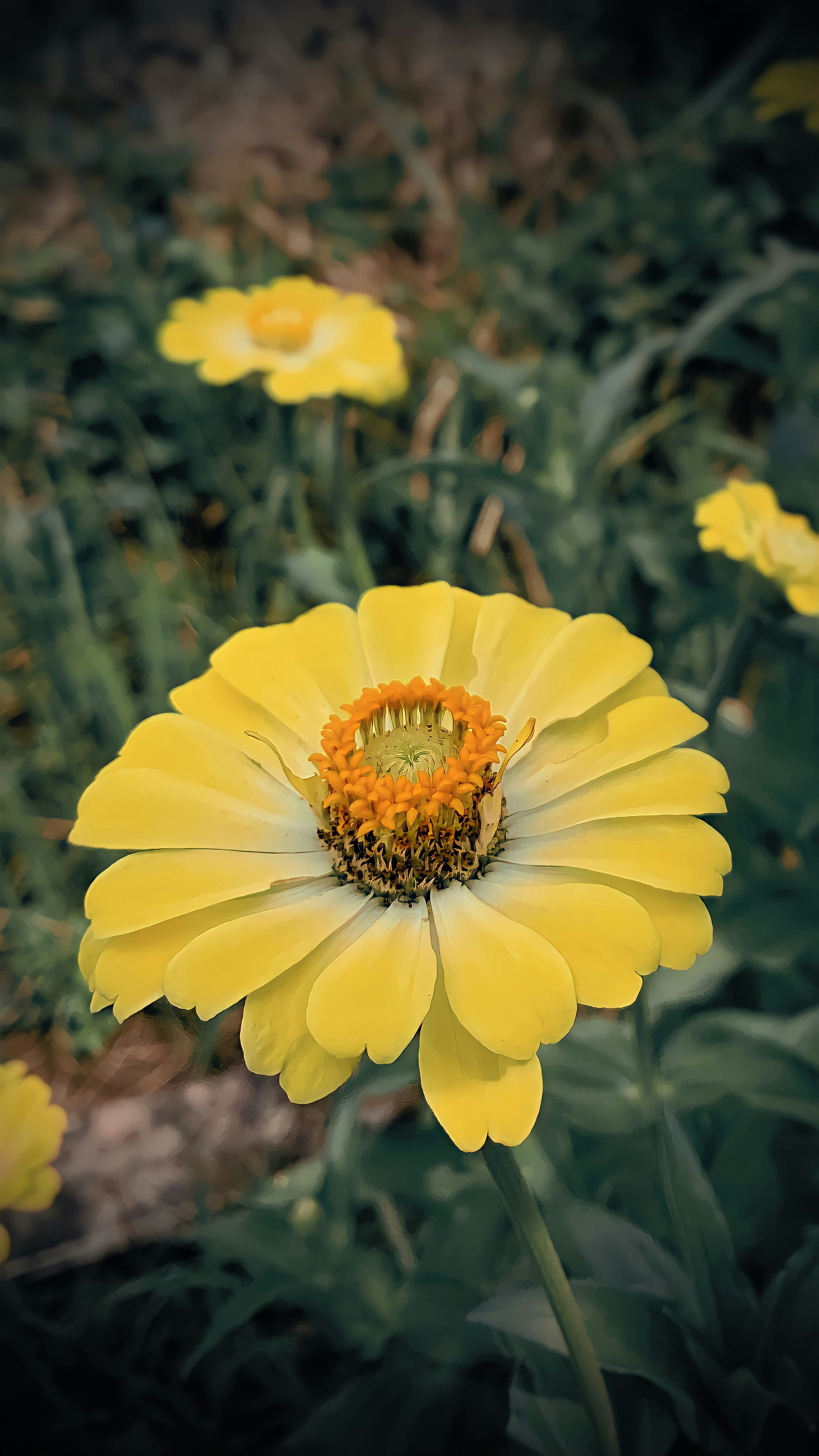 Photo by 220608unsplash