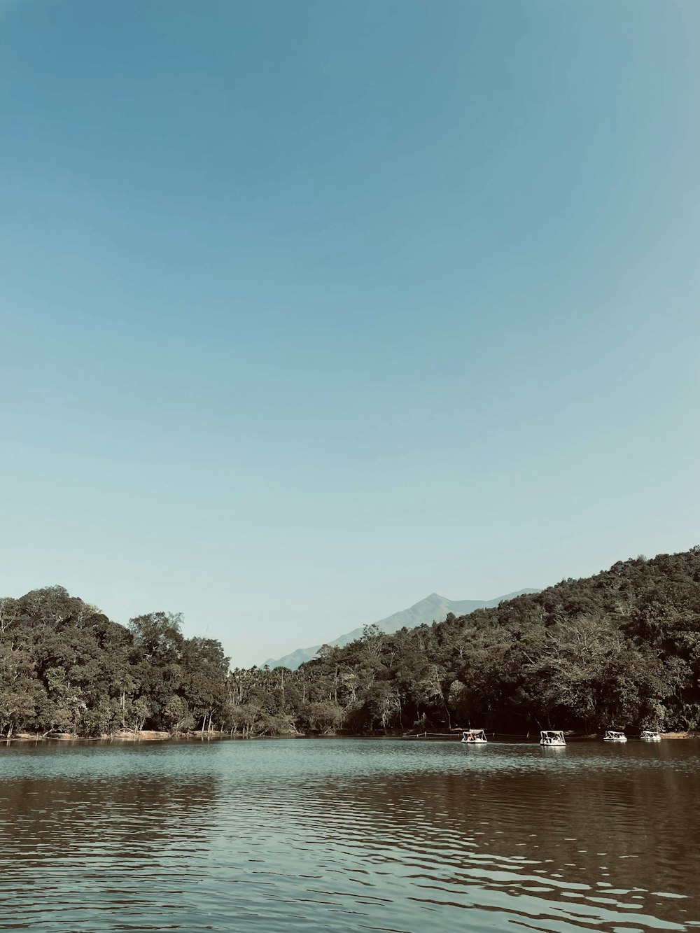 a body of water surrounded by trees and mountains