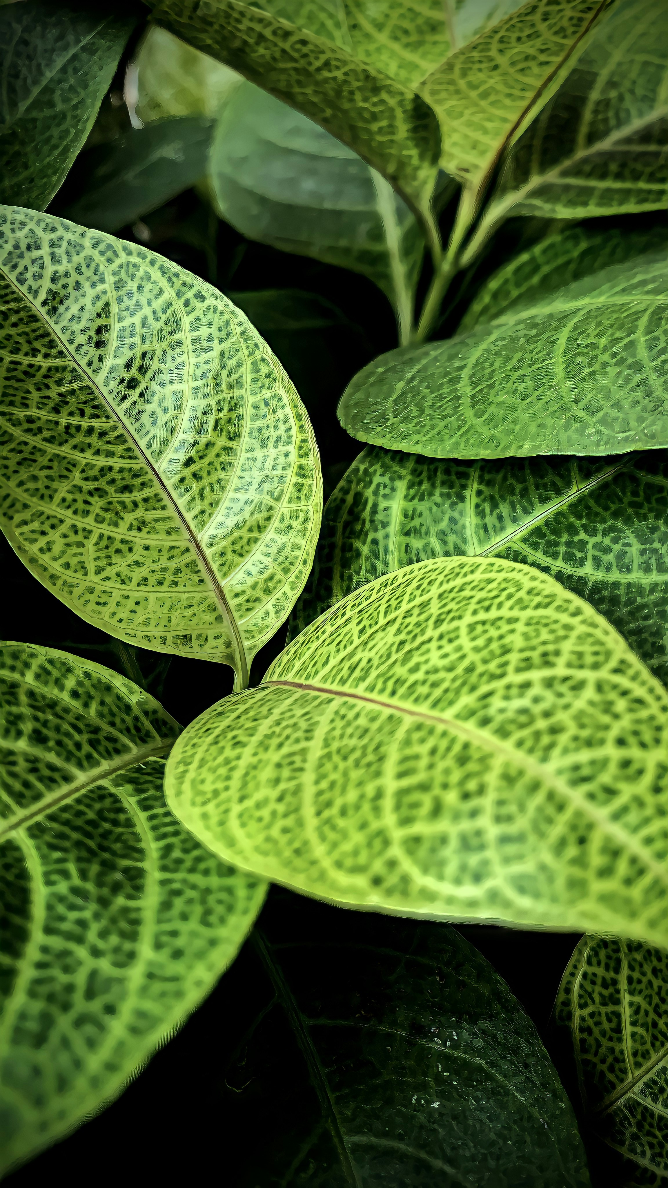 Photo by 220608unsplash