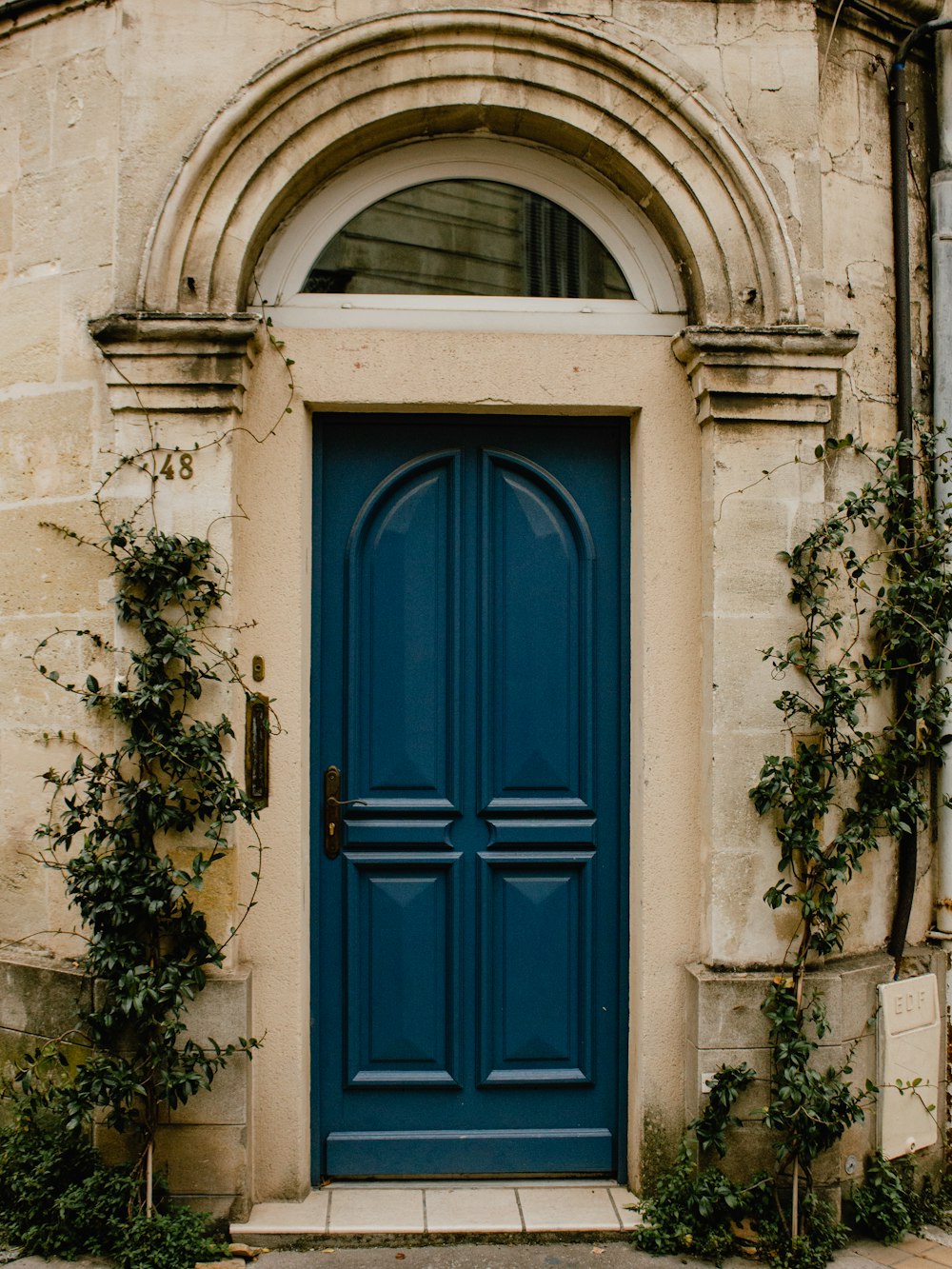 a blue door with vines growing around it