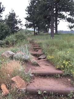 A rustic wooden path made of logs and dirt weaves through a lush, green natural setting. The path is bordered by various types of grass and wildflowers, with large rocks scattered along the sides. Tall pine trees stand in the background, adding depth to the scene.