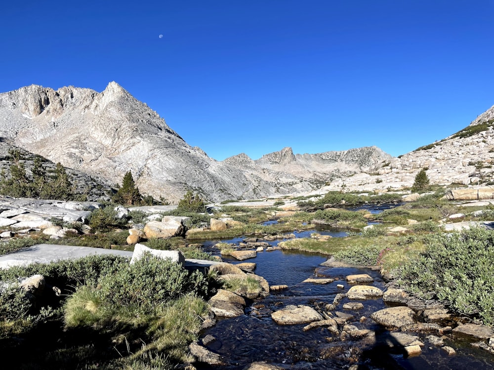 a stream running through a rocky mountain valley