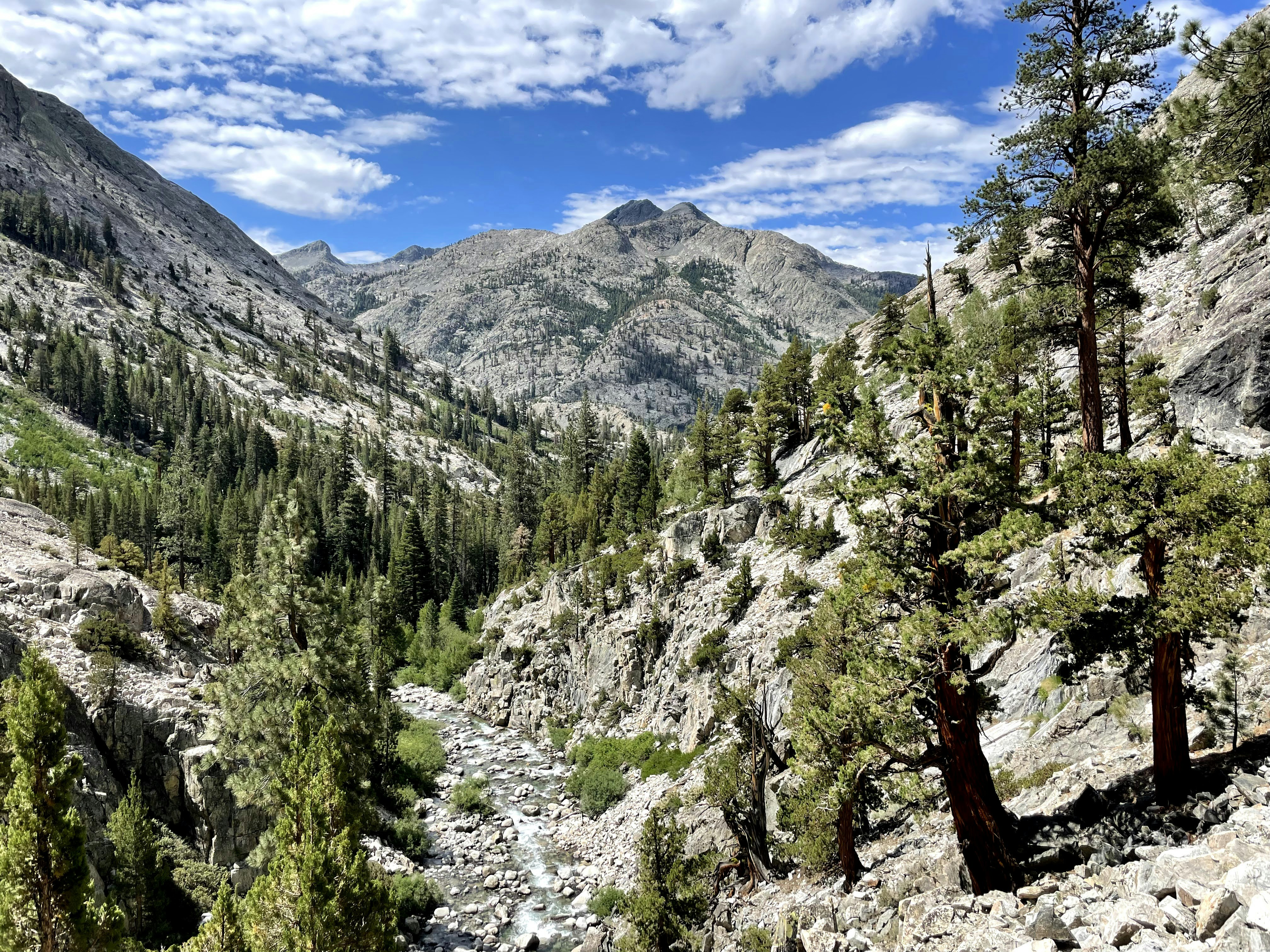 a view of a mountain valley with trees in the foreground