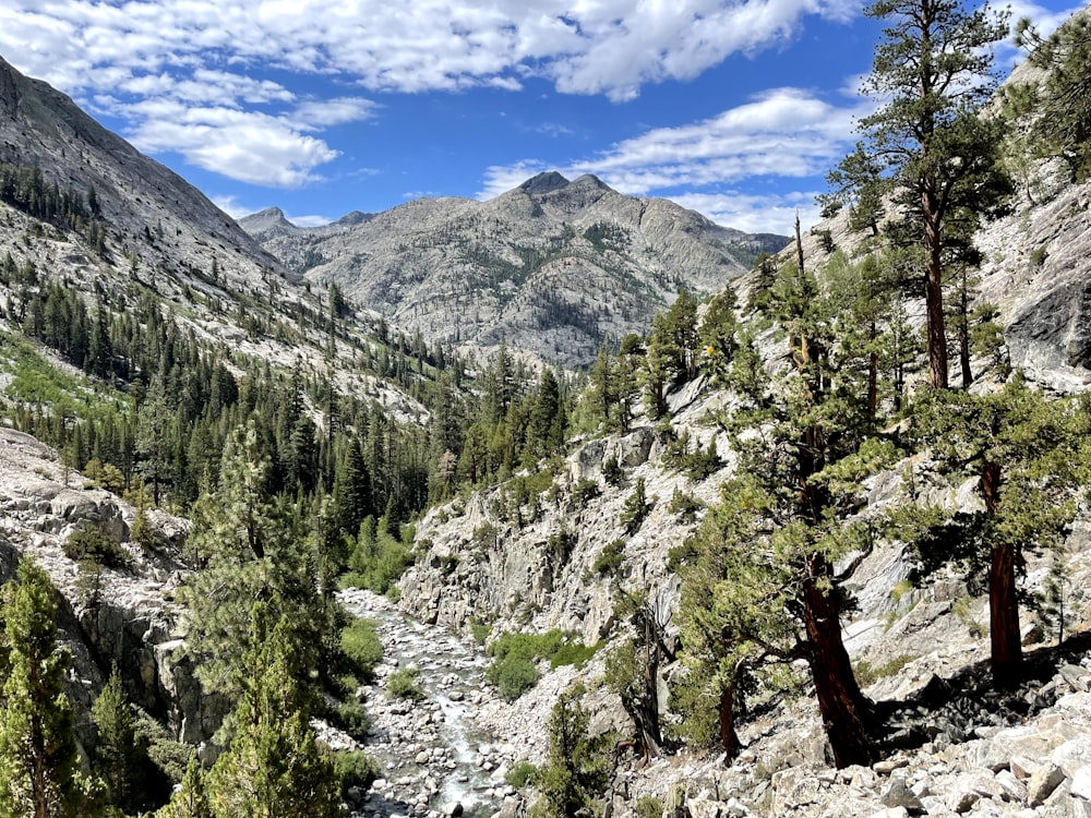 a view of a mountain valley with trees in the foreground