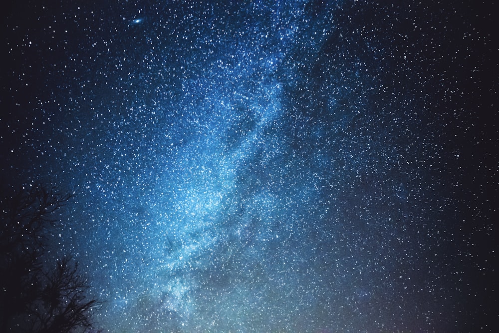 El cielo nocturno está lleno de estrellas y estrellas