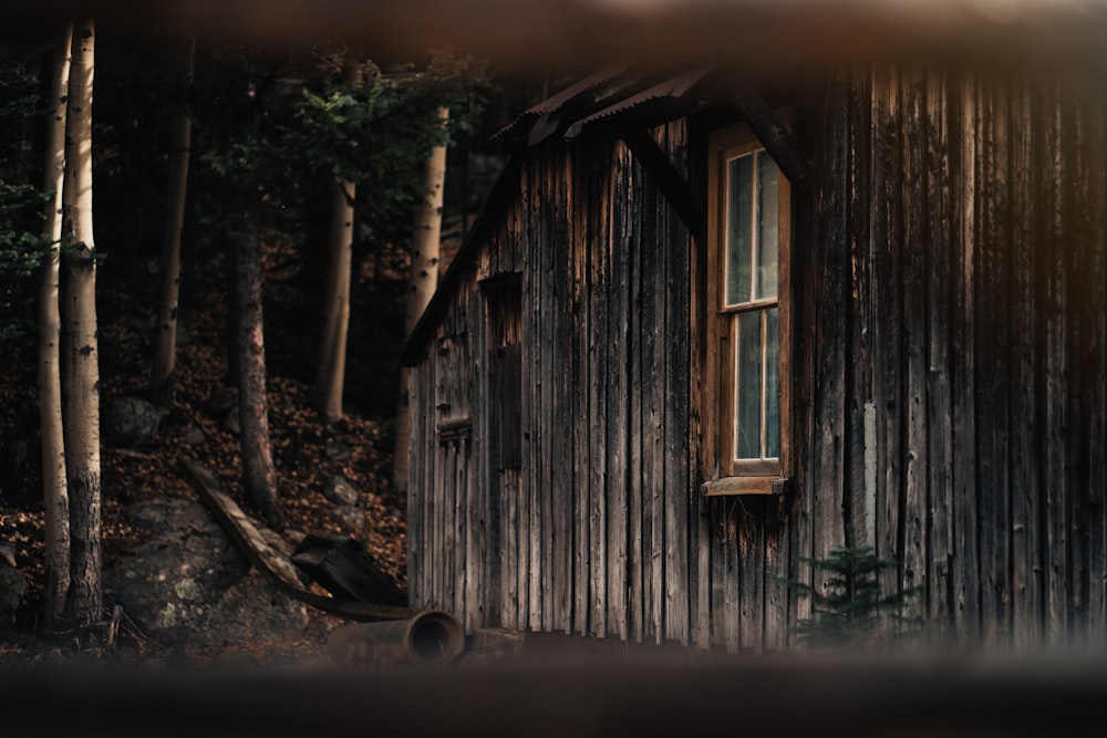 a wooden cabin with a window and a tree in the background