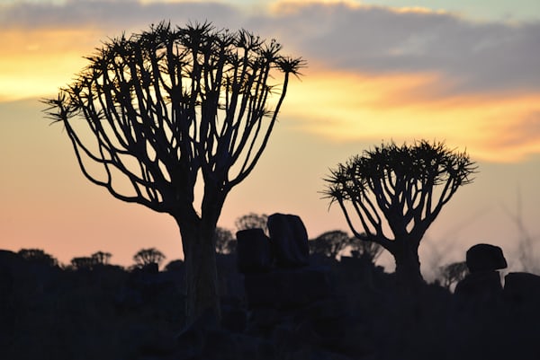 Reizen zuid afrika en namibië