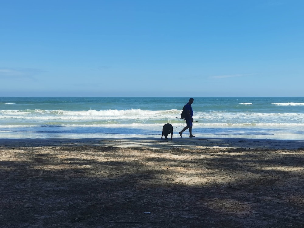 a person walking a dog on a beach