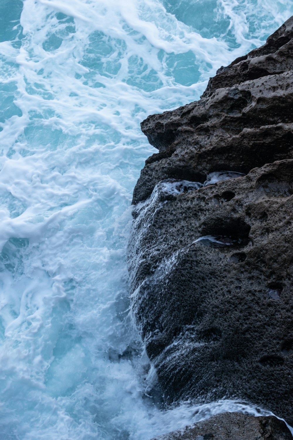 a bird sitting on a rock next to the ocean