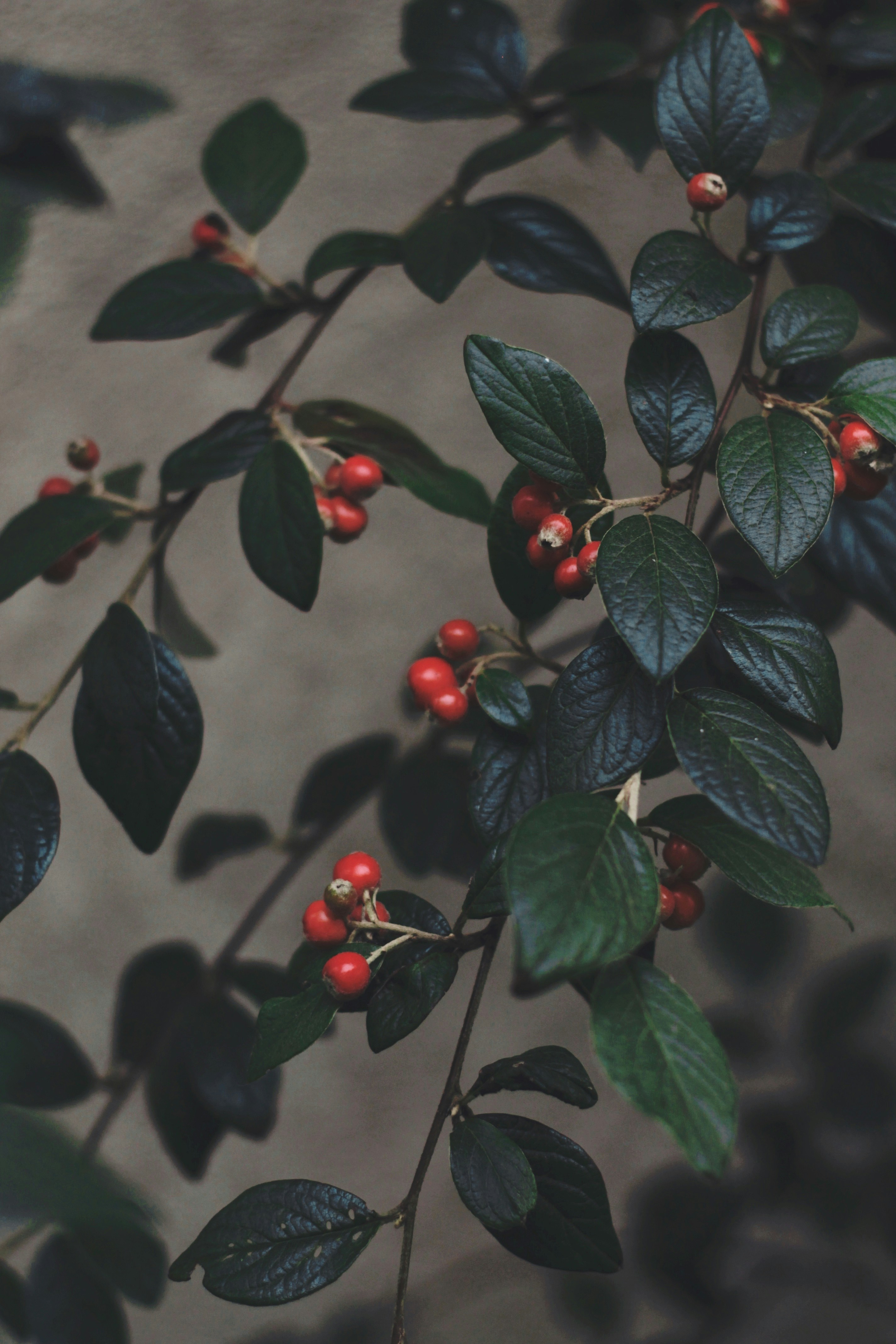 Photo by elena_cosarka