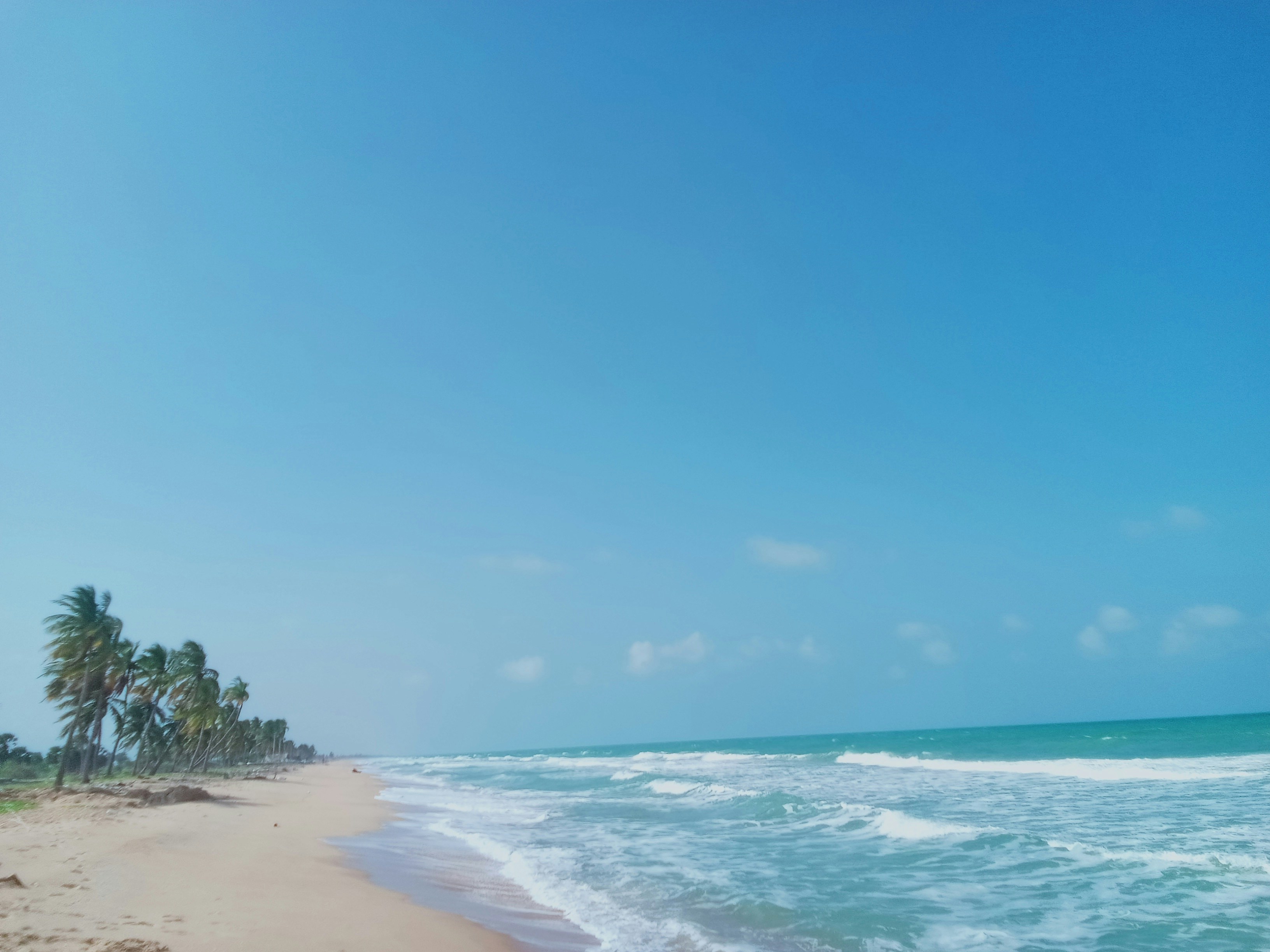 Photo by nipun_srilanka