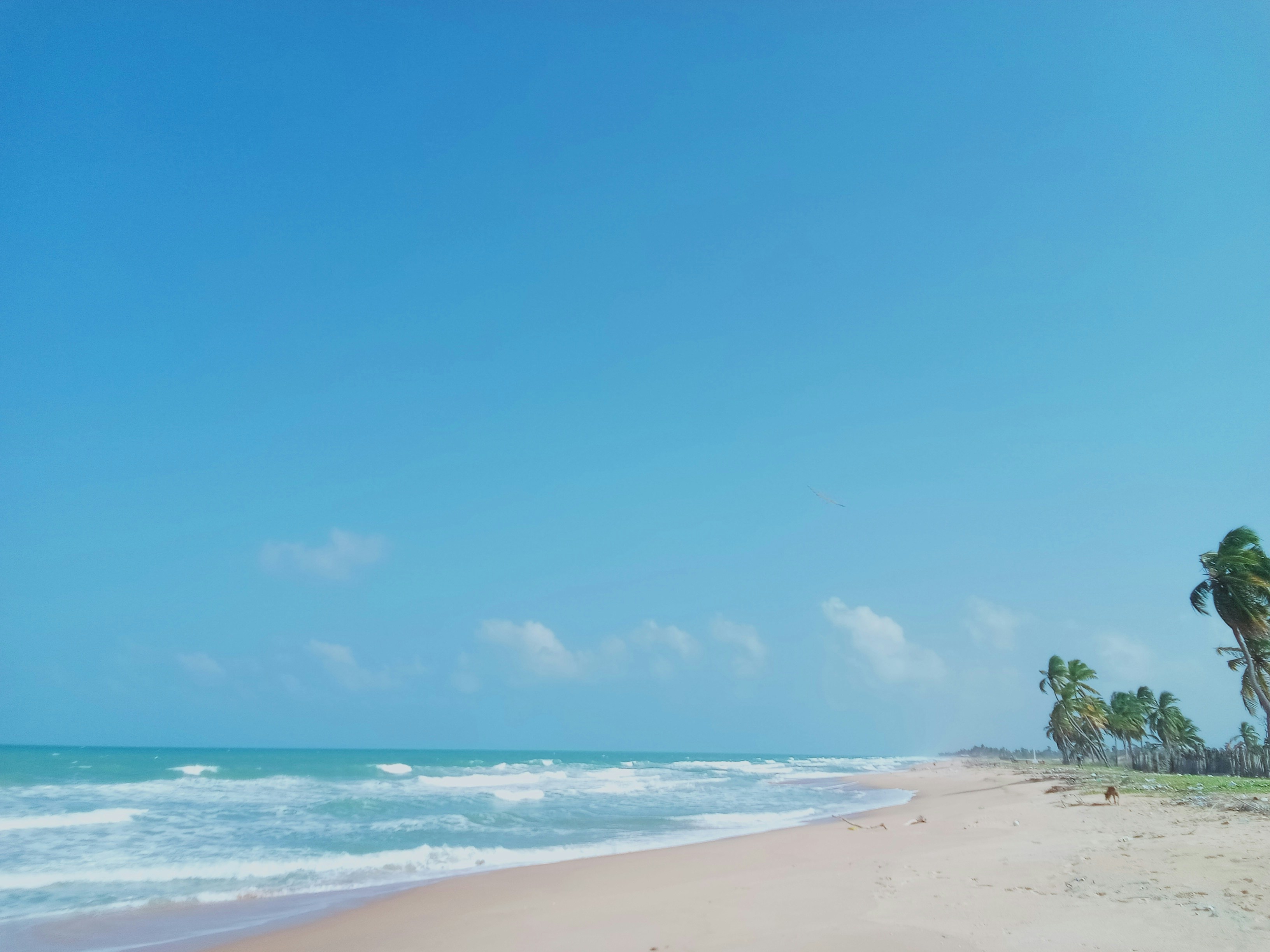 Photo by nipun_srilanka