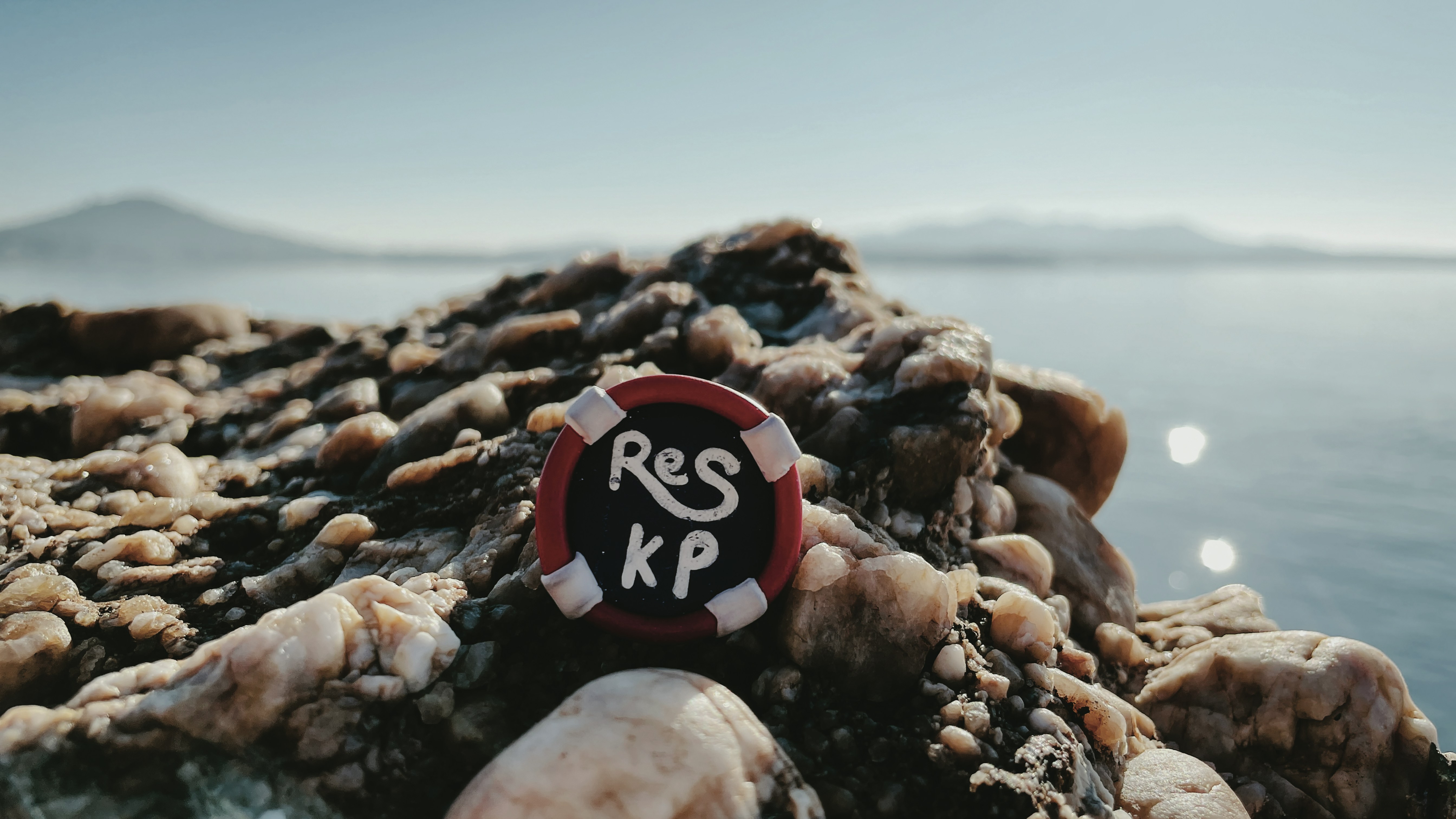 a close up of a rock with a sign on it