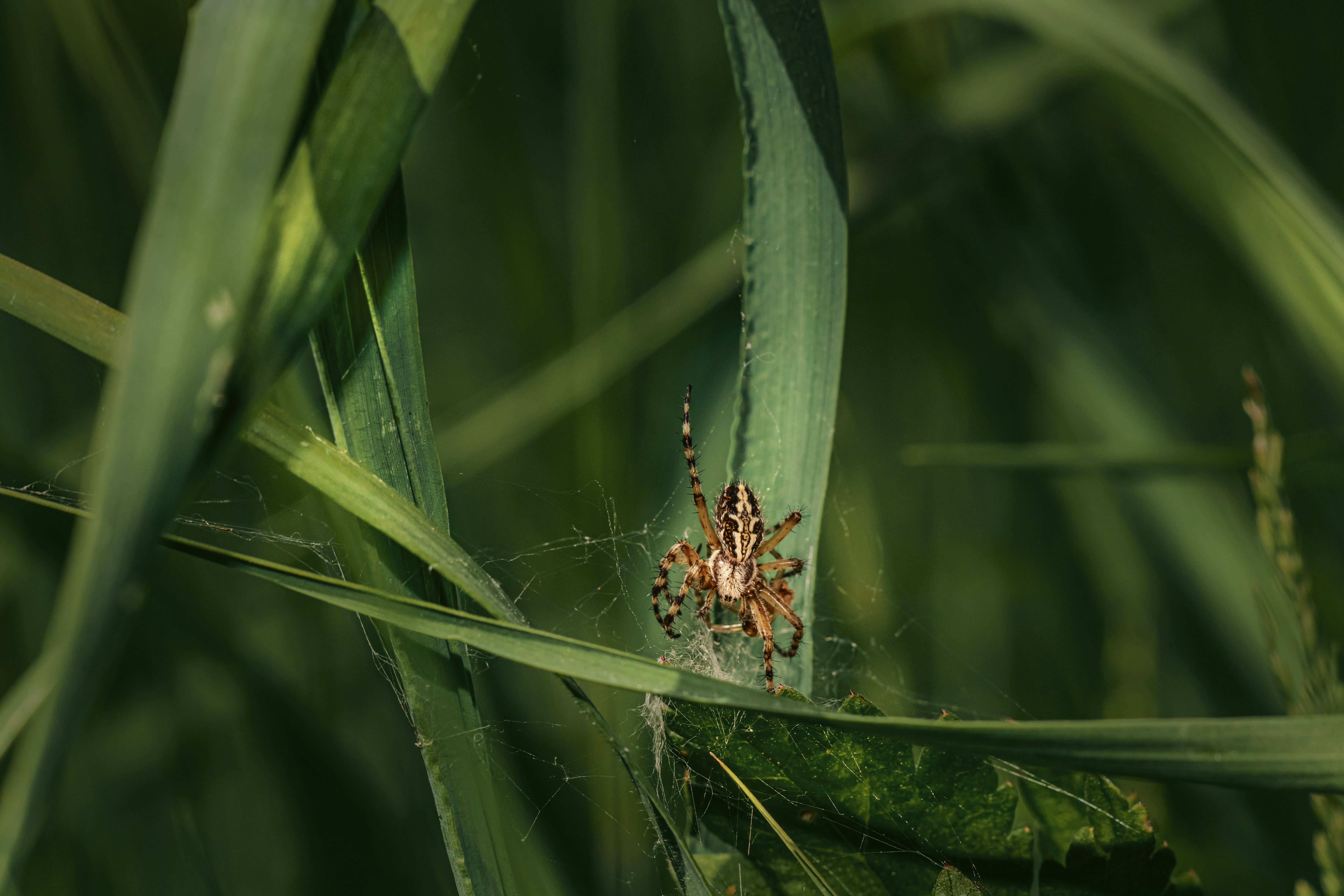 Photo by erik_karits