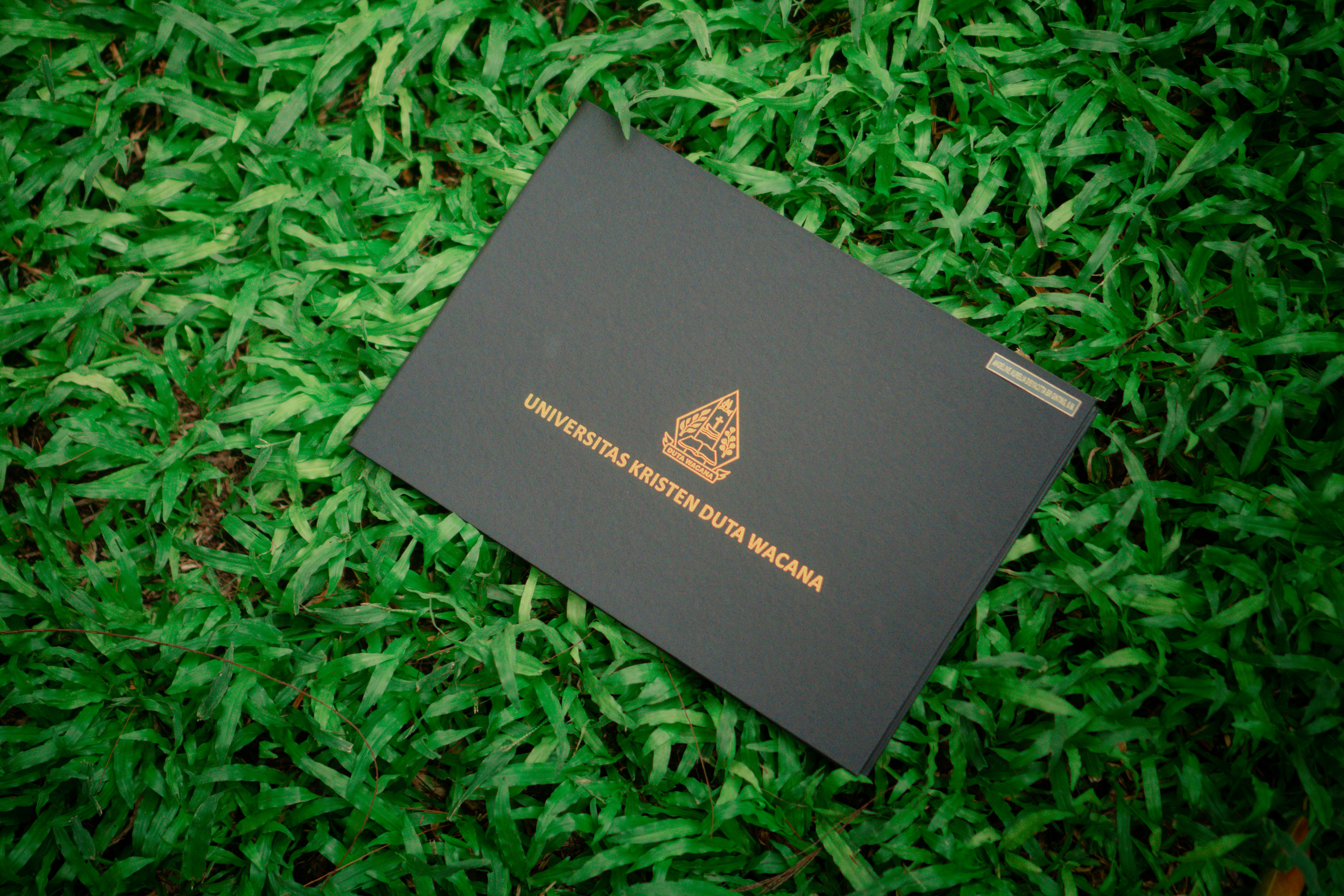 a piece of black paper laying on top of green grass