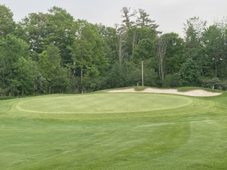 A lush golf course with a well-maintained green and sand bunkers. Surrounding the course are dense trees and foliage.