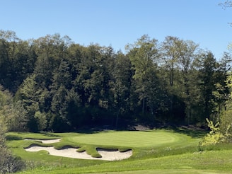 A lush green golf course featuring well-manicured grass and several sand bunkers is surrounded by dense, leafy trees. The clear blue sky enhances the picturesque landscape.