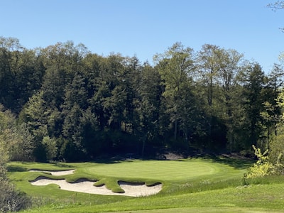 A lush green golf course featuring well-manicured grass and several sand bunkers is surrounded by dense, leafy trees. The clear blue sky enhances the picturesque landscape.