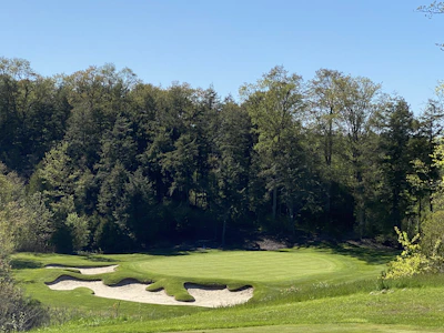 Close-up of the Birdie Box simulator's high-definition screen displaying a lush golf course.