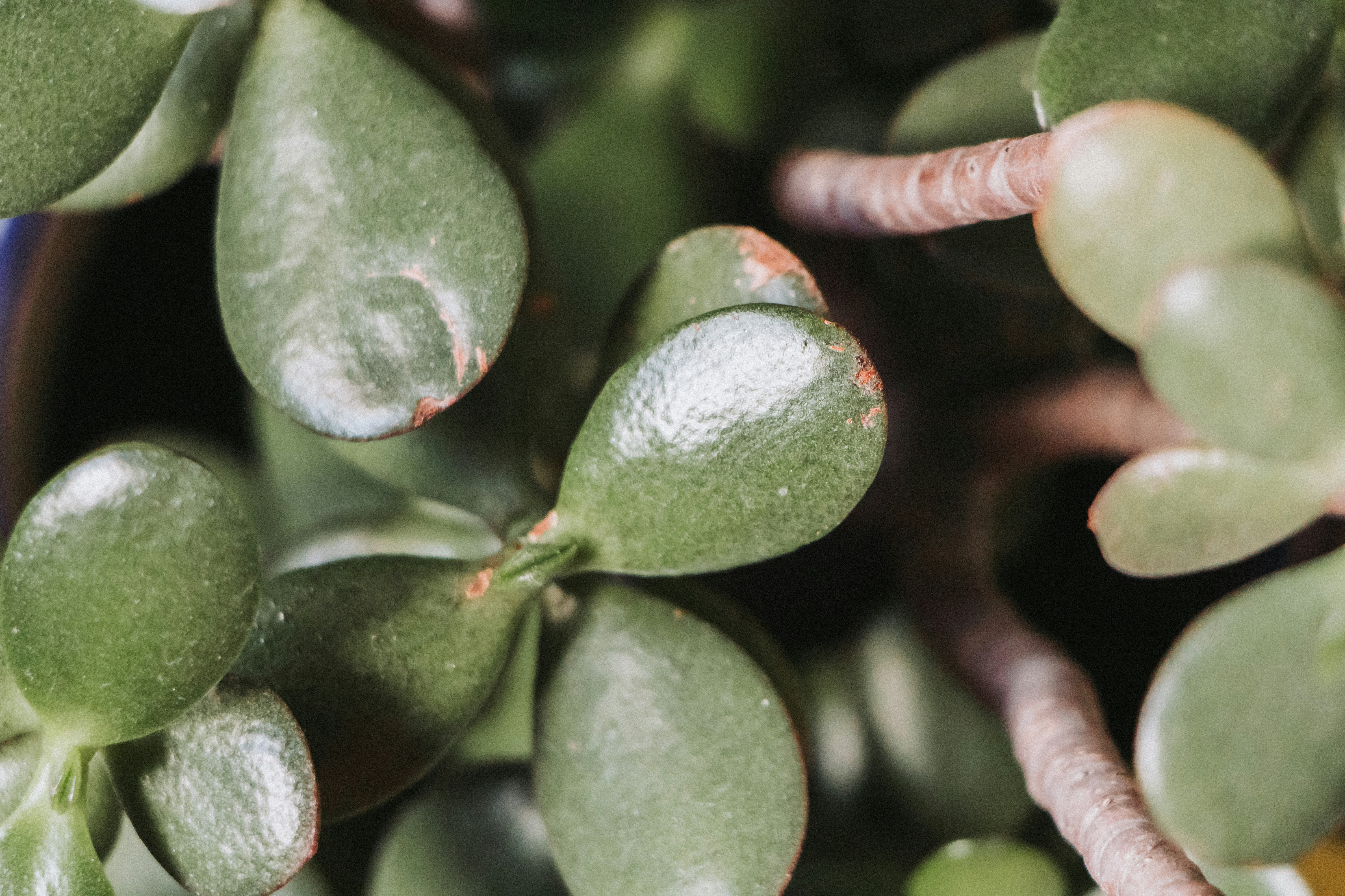 Photo by ximenaphoto