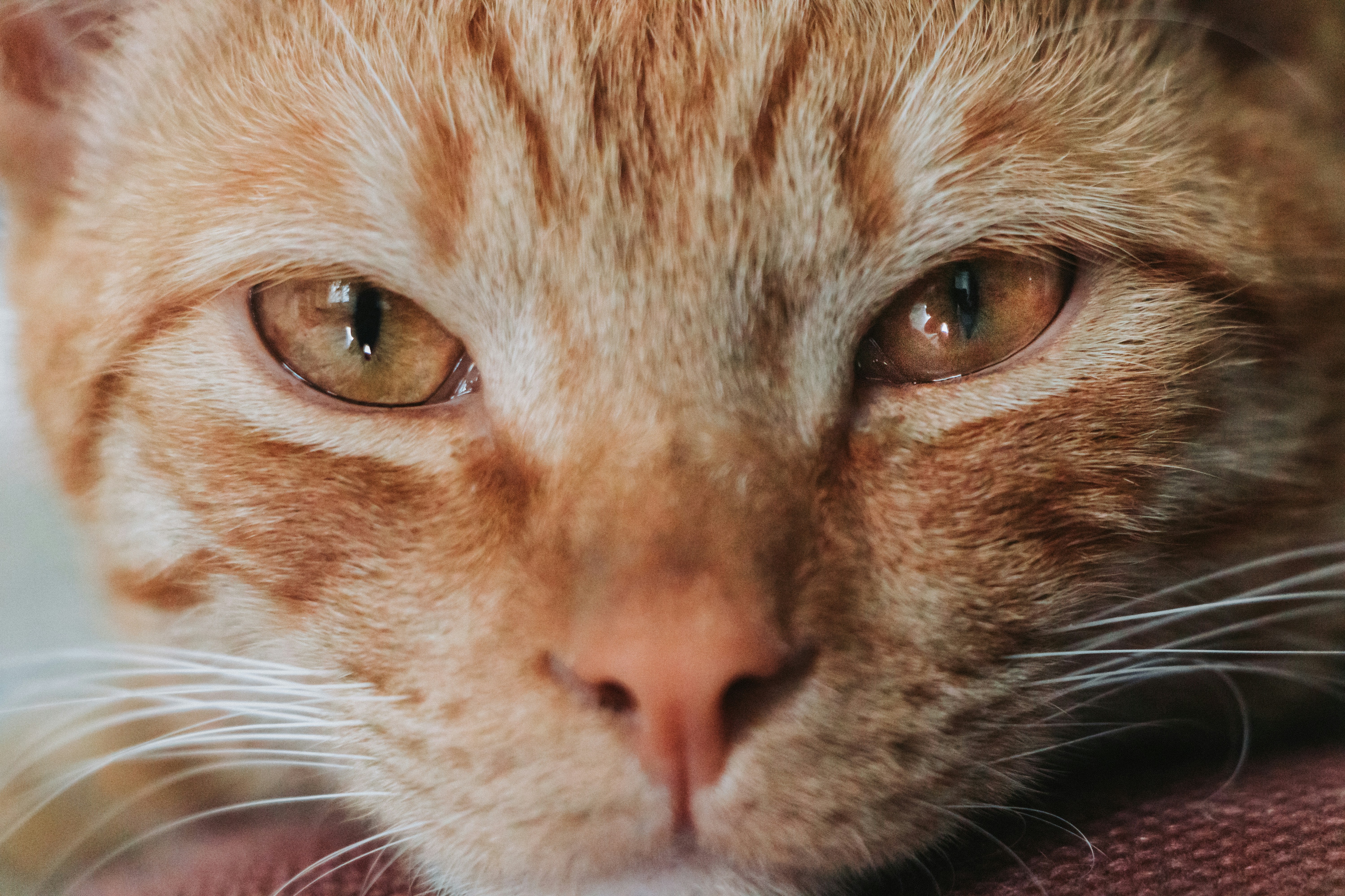 Photo by ximenaphoto