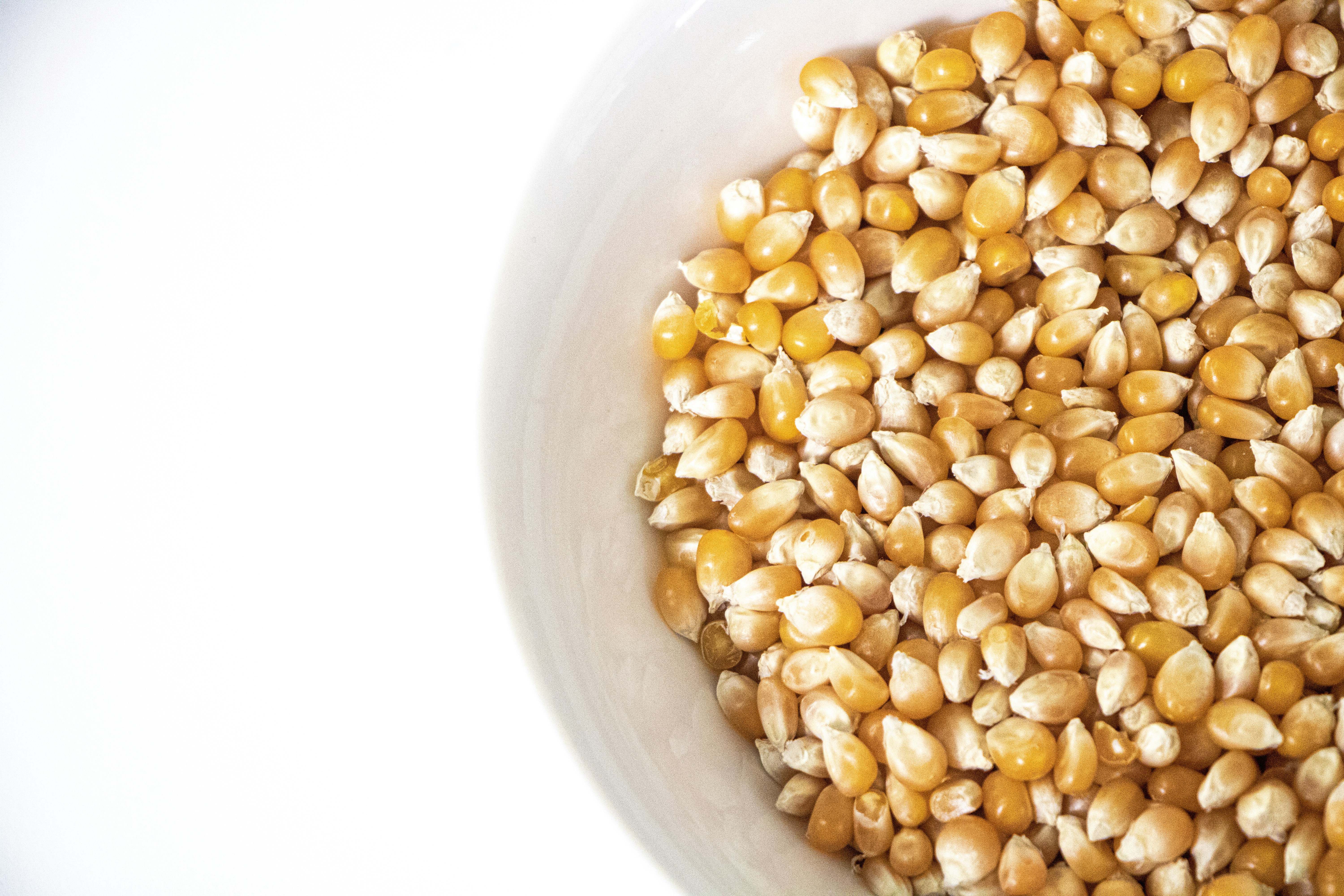 Photo by ximenaphoto