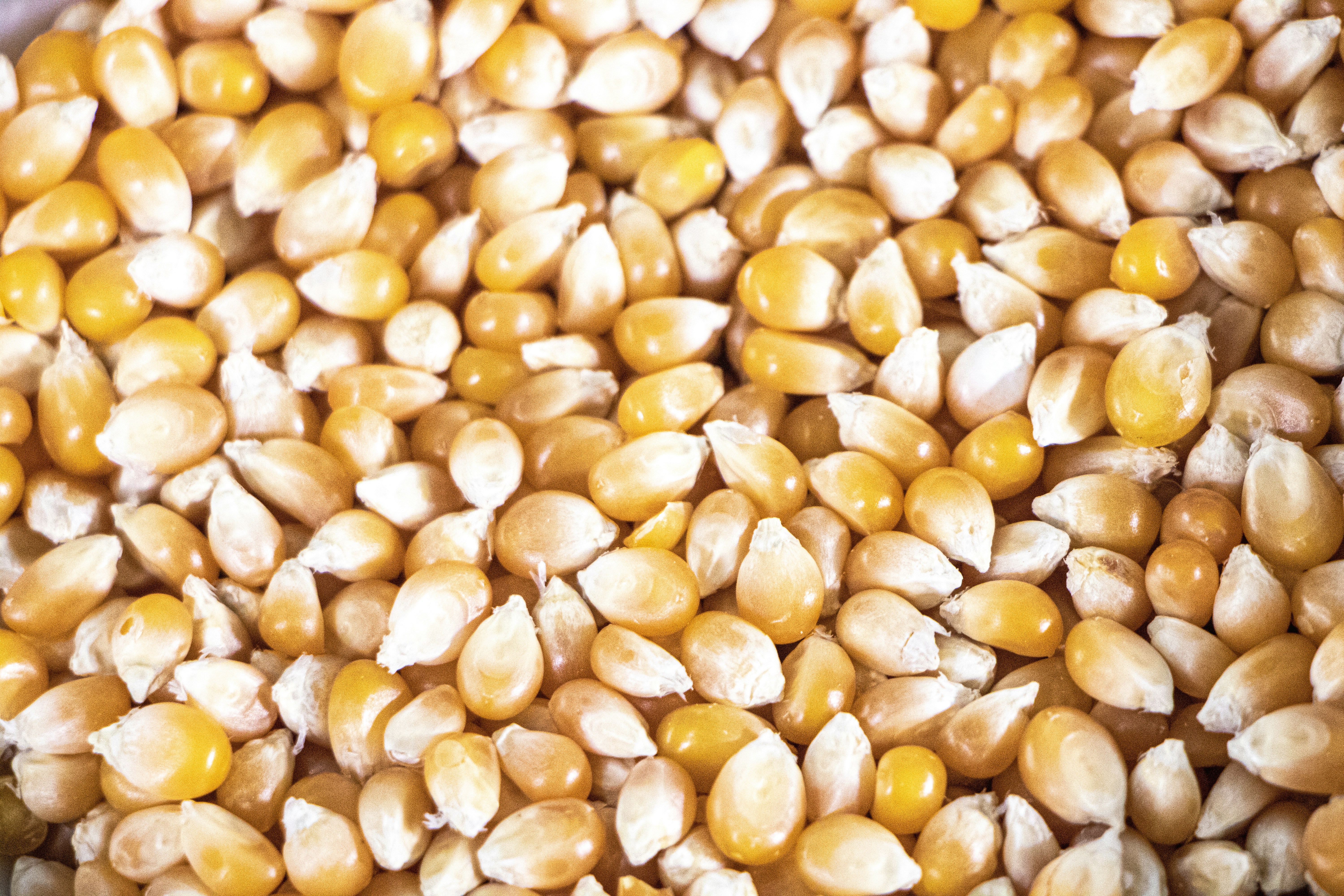 Photo by ximenaphoto