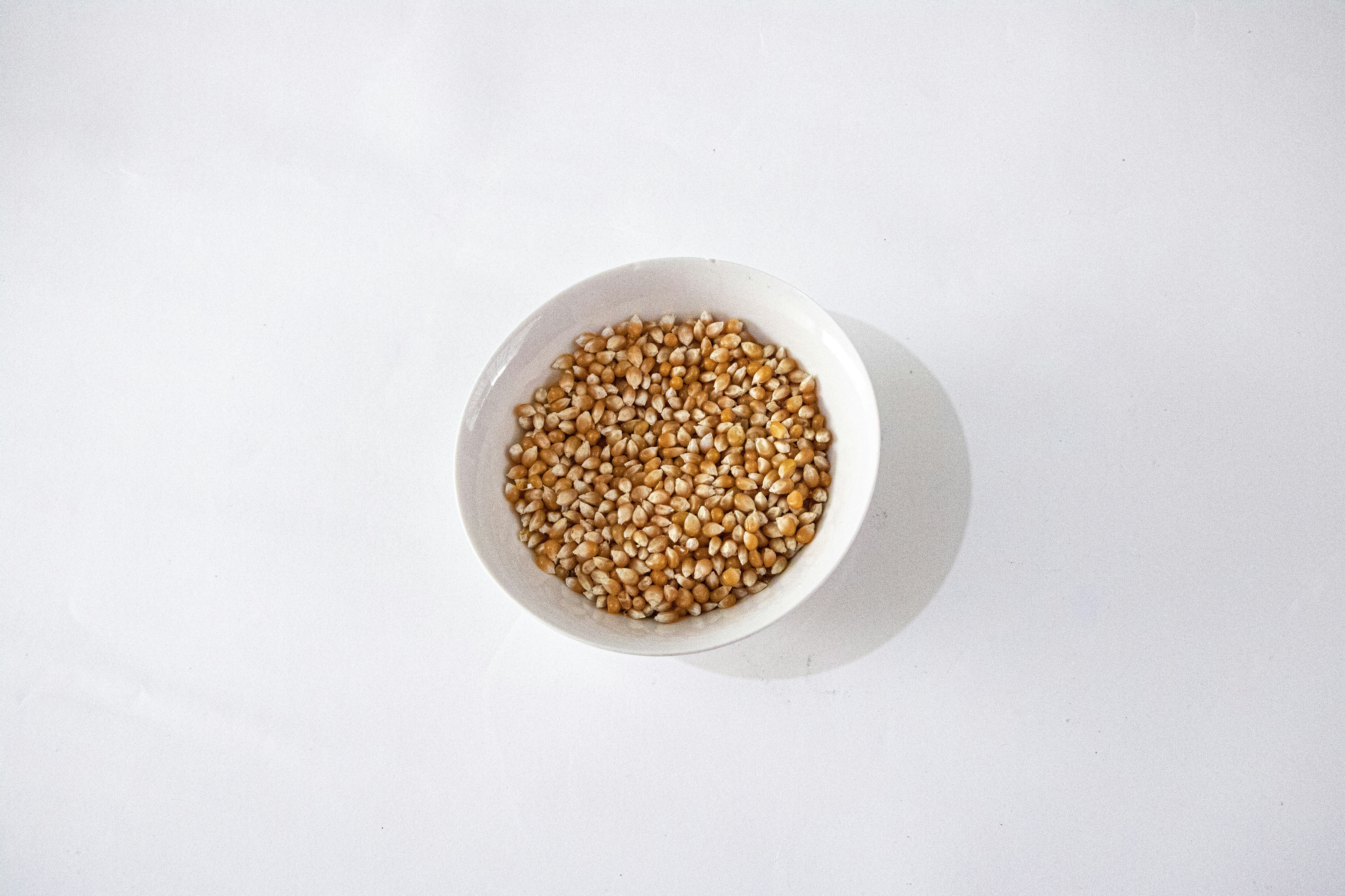 a white bowl filled with grains on top of a white table