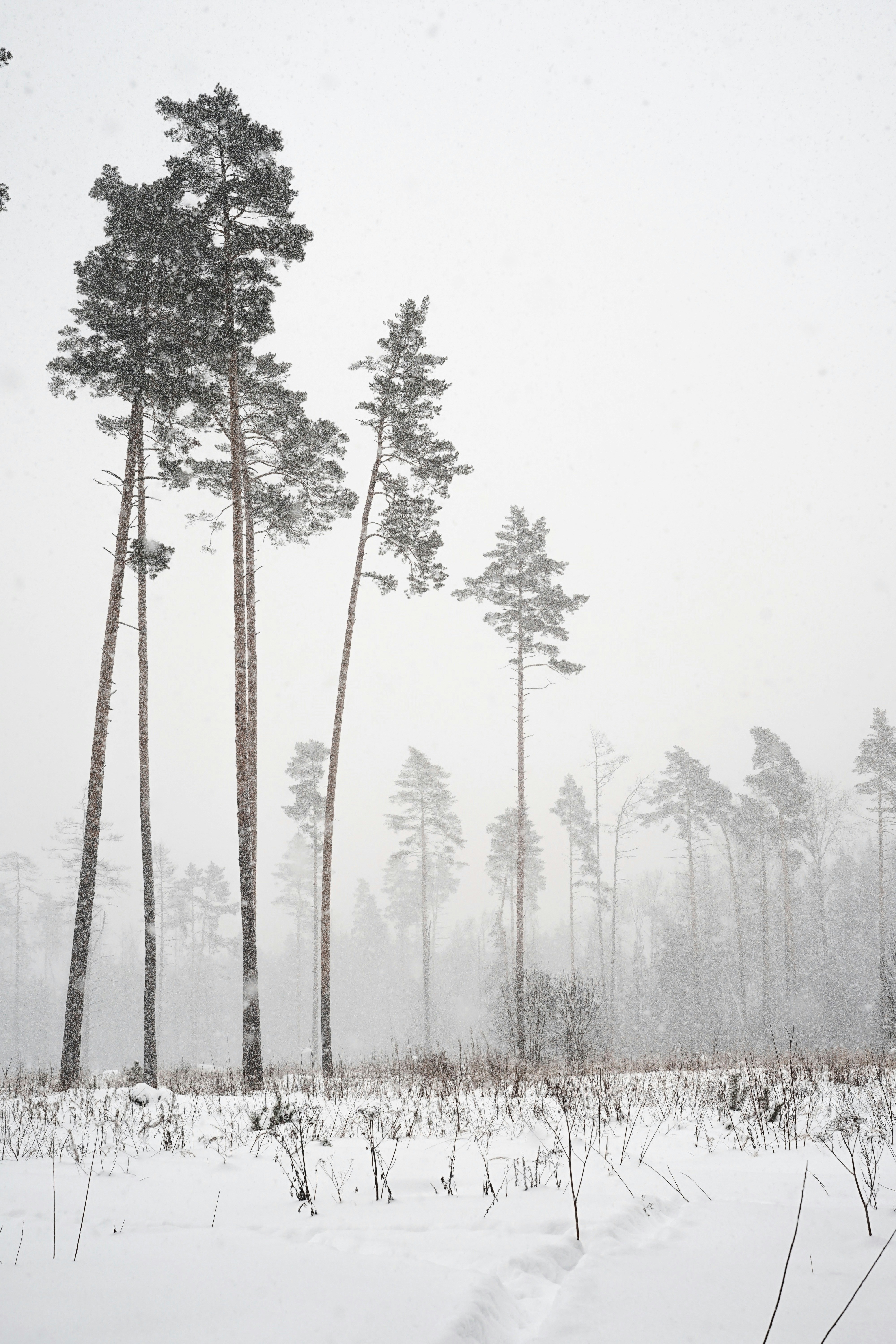 Photo by veragorbunova