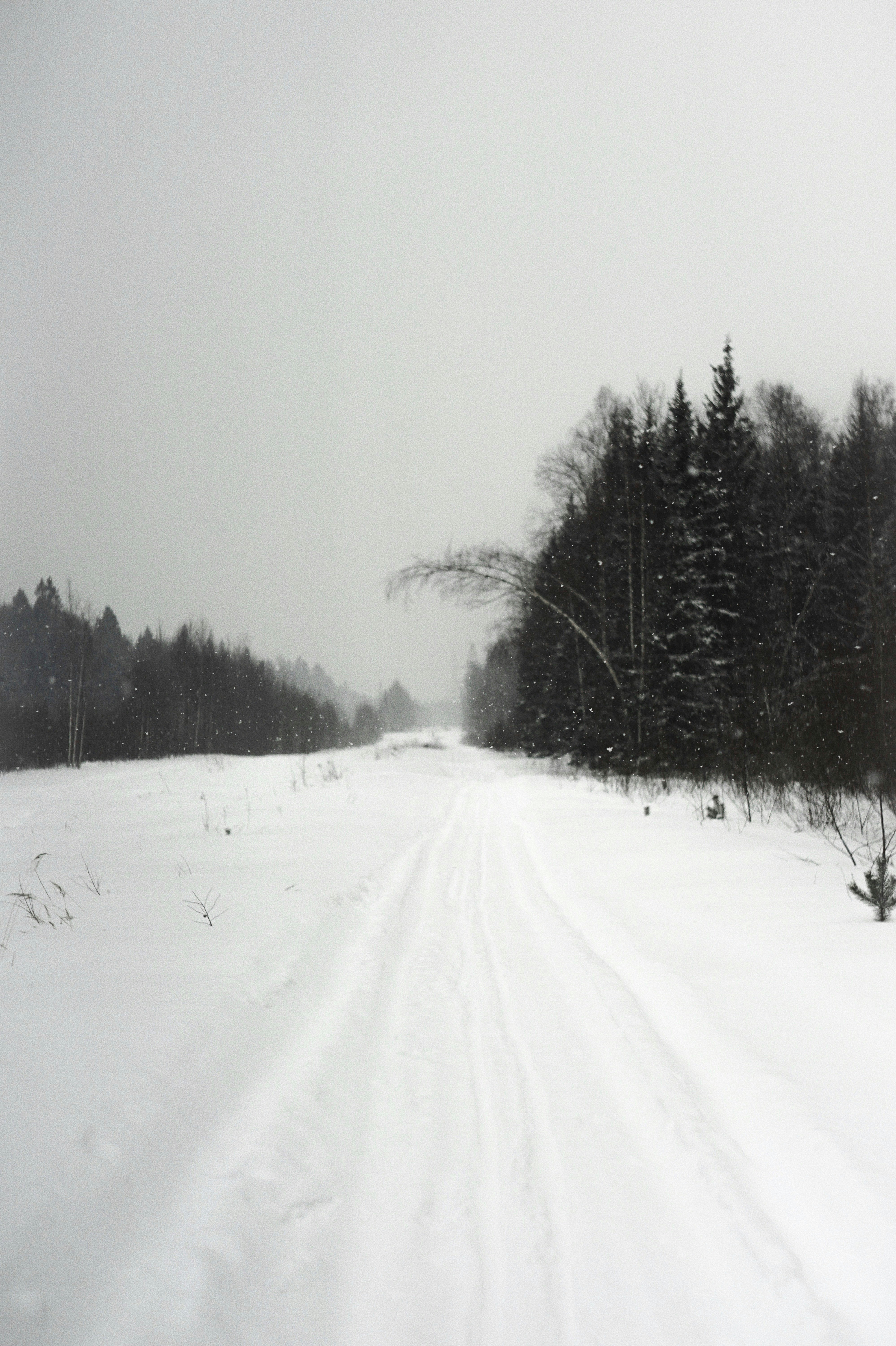 Photo by veragorbunova