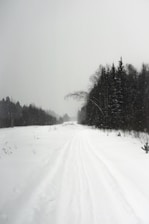 a snow covered road with trees in the background