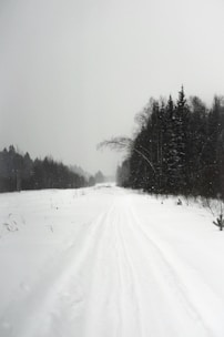 a snow covered road with trees in the background