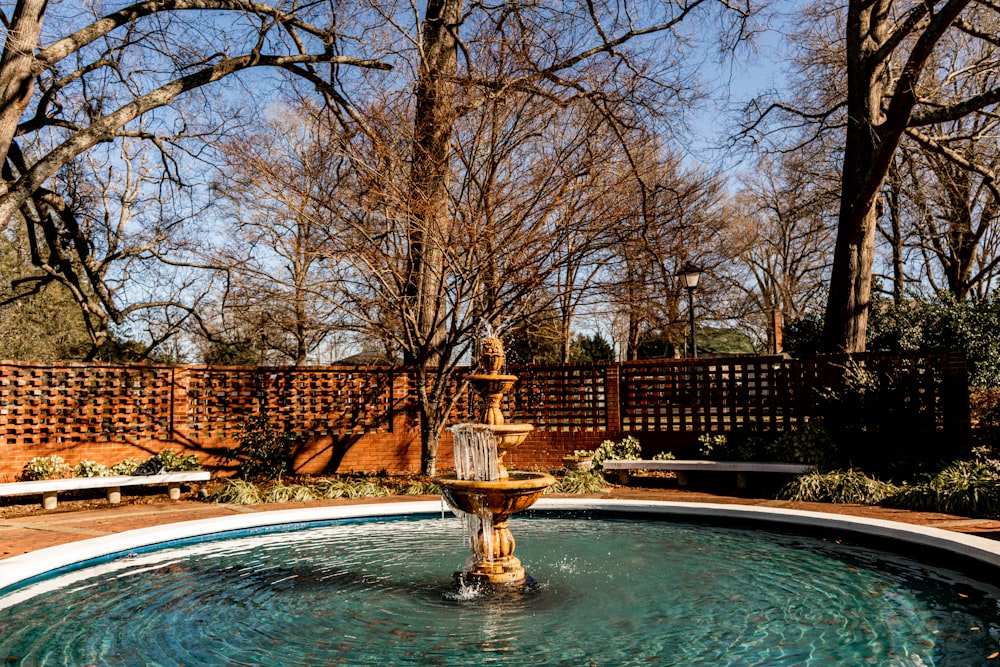 a fountain in a park with trees in the background