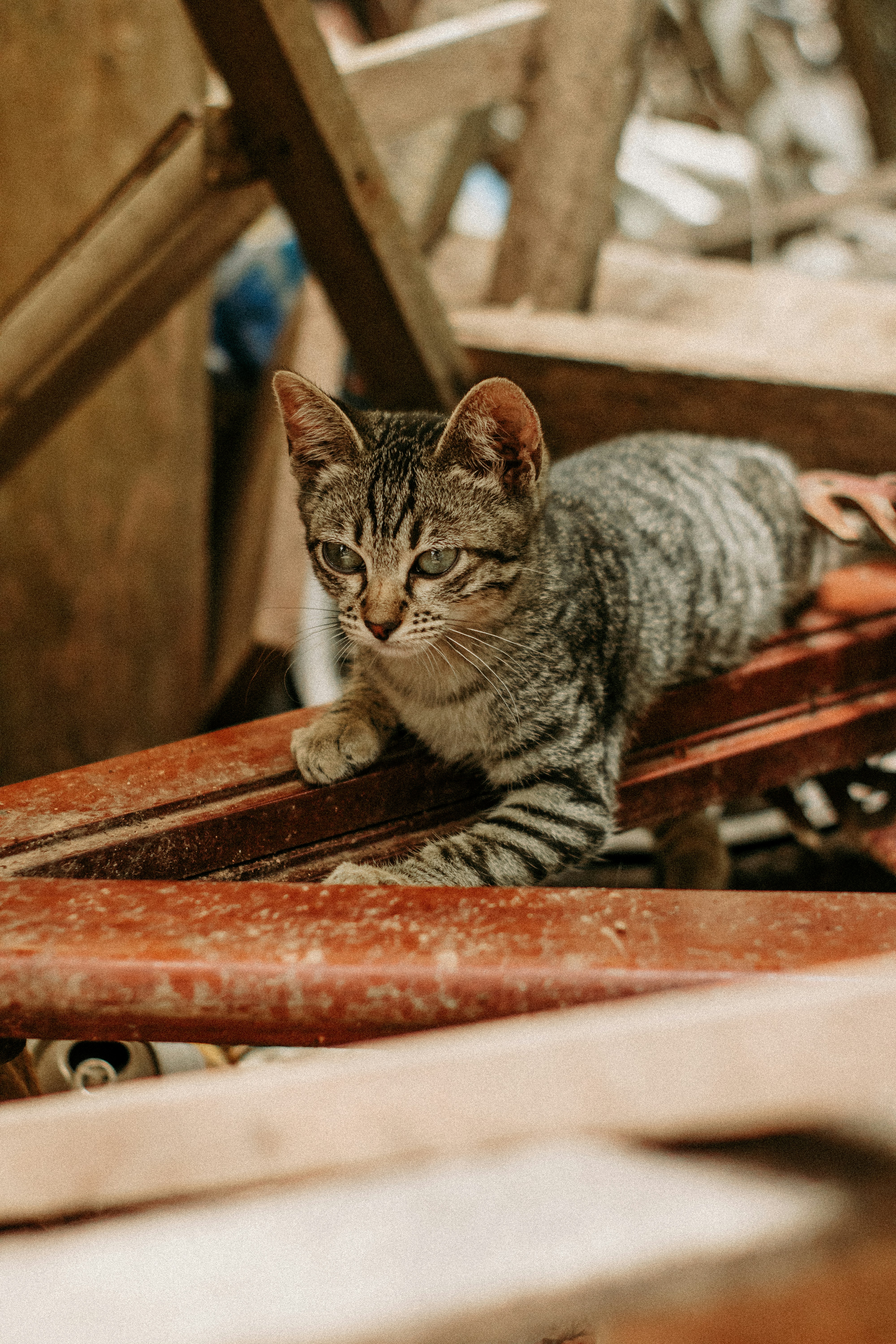 Photo by paolanunesfoto