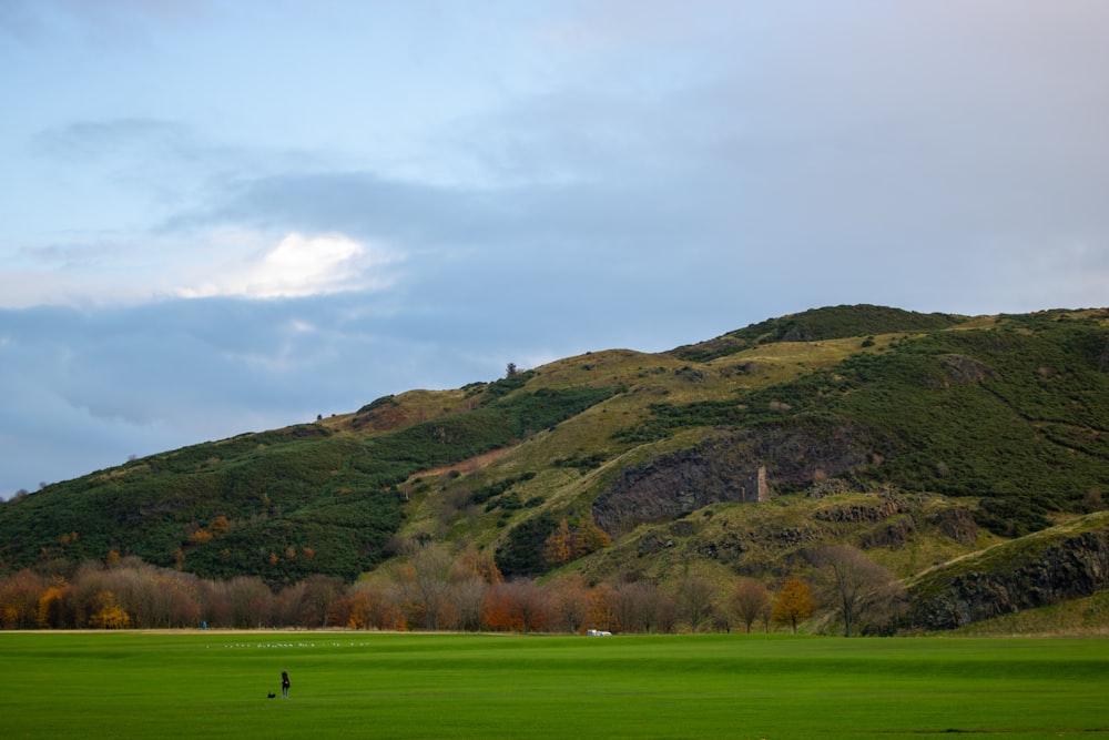 a person walking across a lush green field