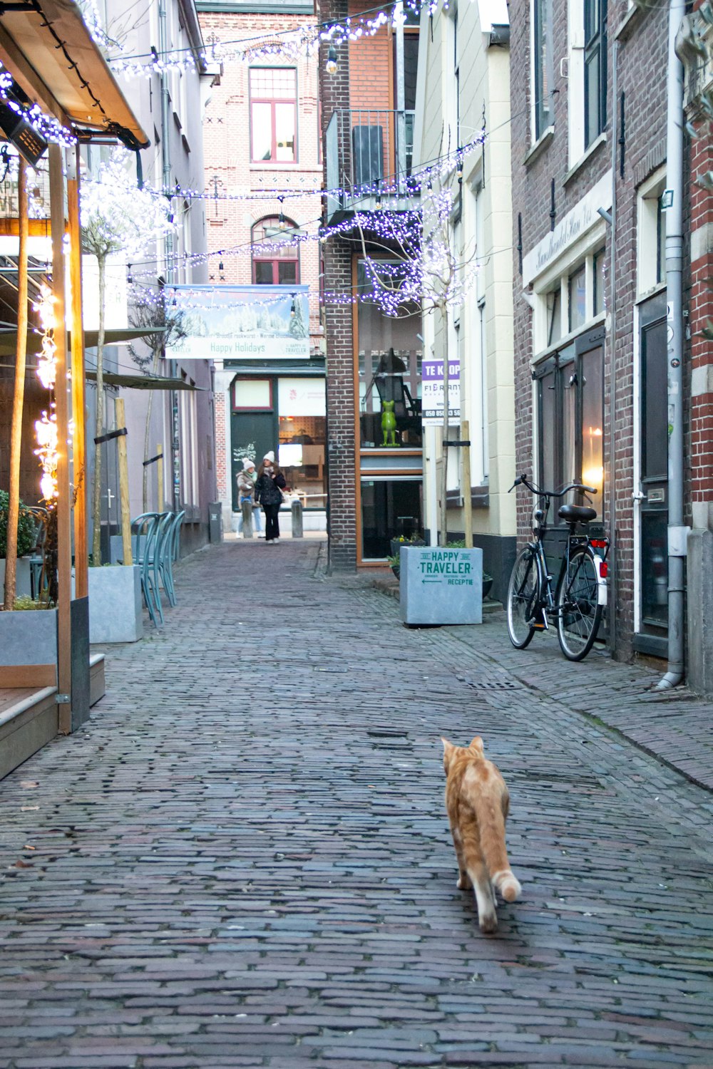 Eine Katze läuft eine Backsteinstraße entlang