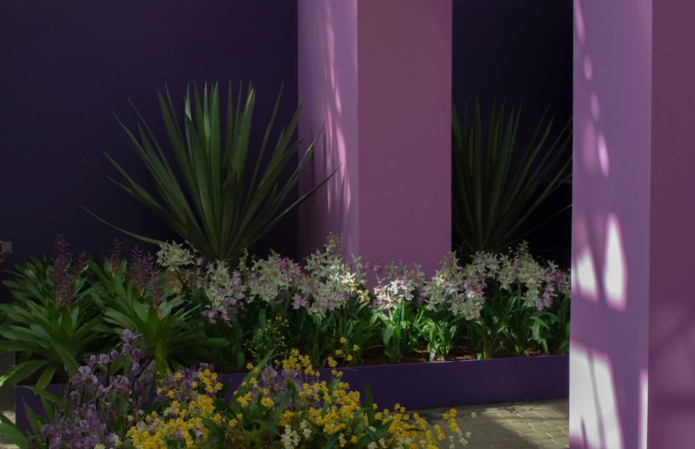 a planter filled with lots of flowers next to a purple wall